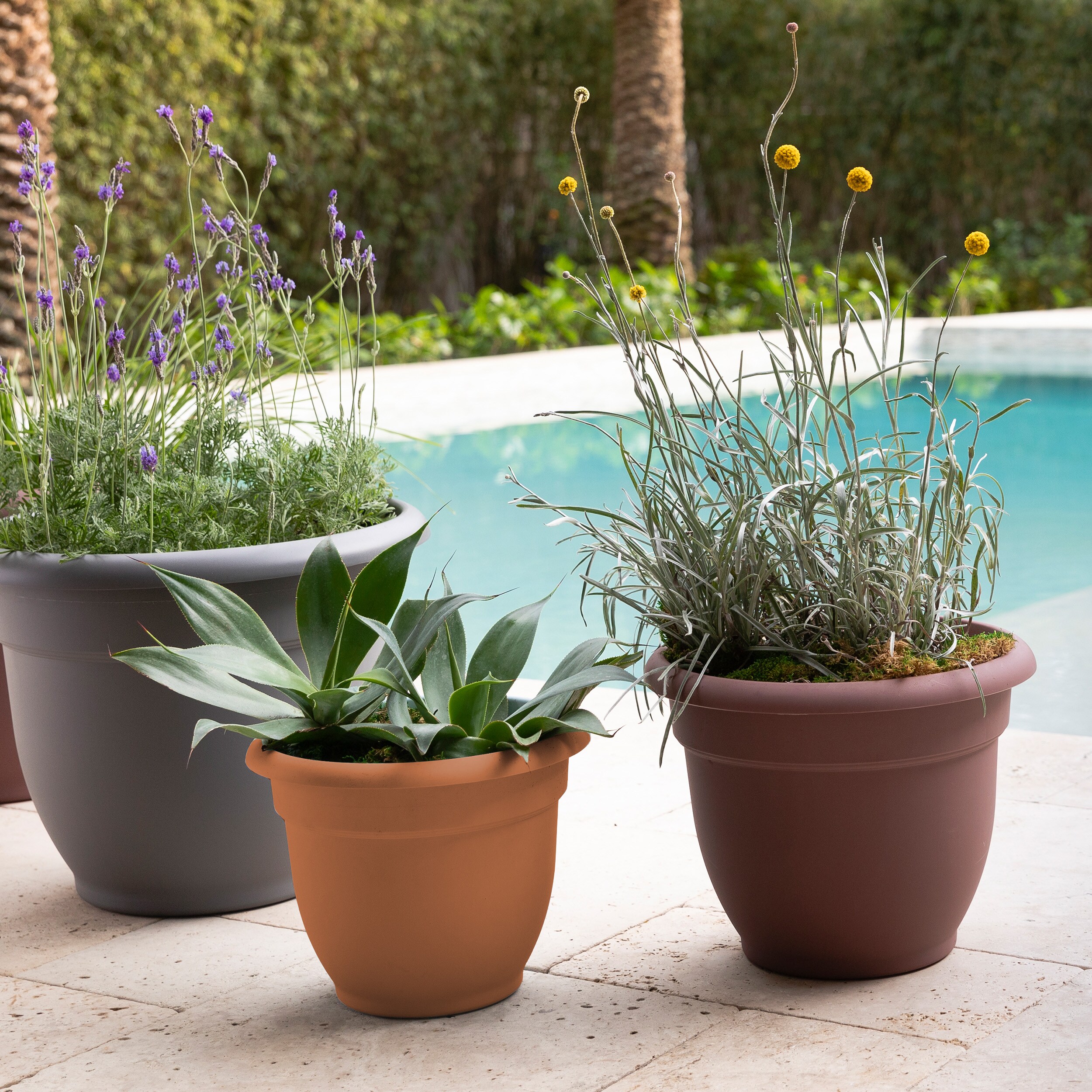 Bloem DCB-APMIX46 Planter-Window-Box - View #7