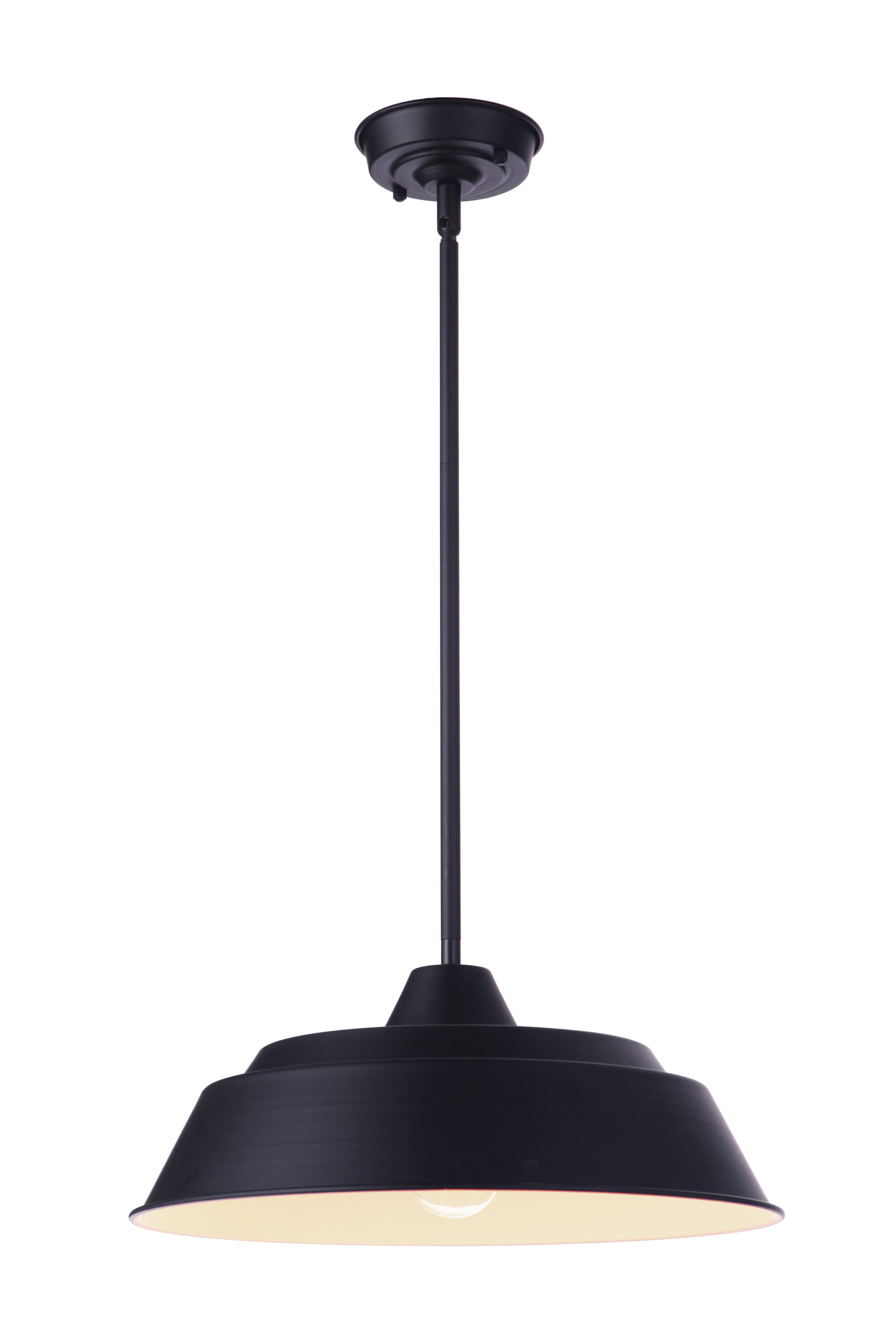 Midnight Aluminum 1-Light Indoor/Outdoor Pendant