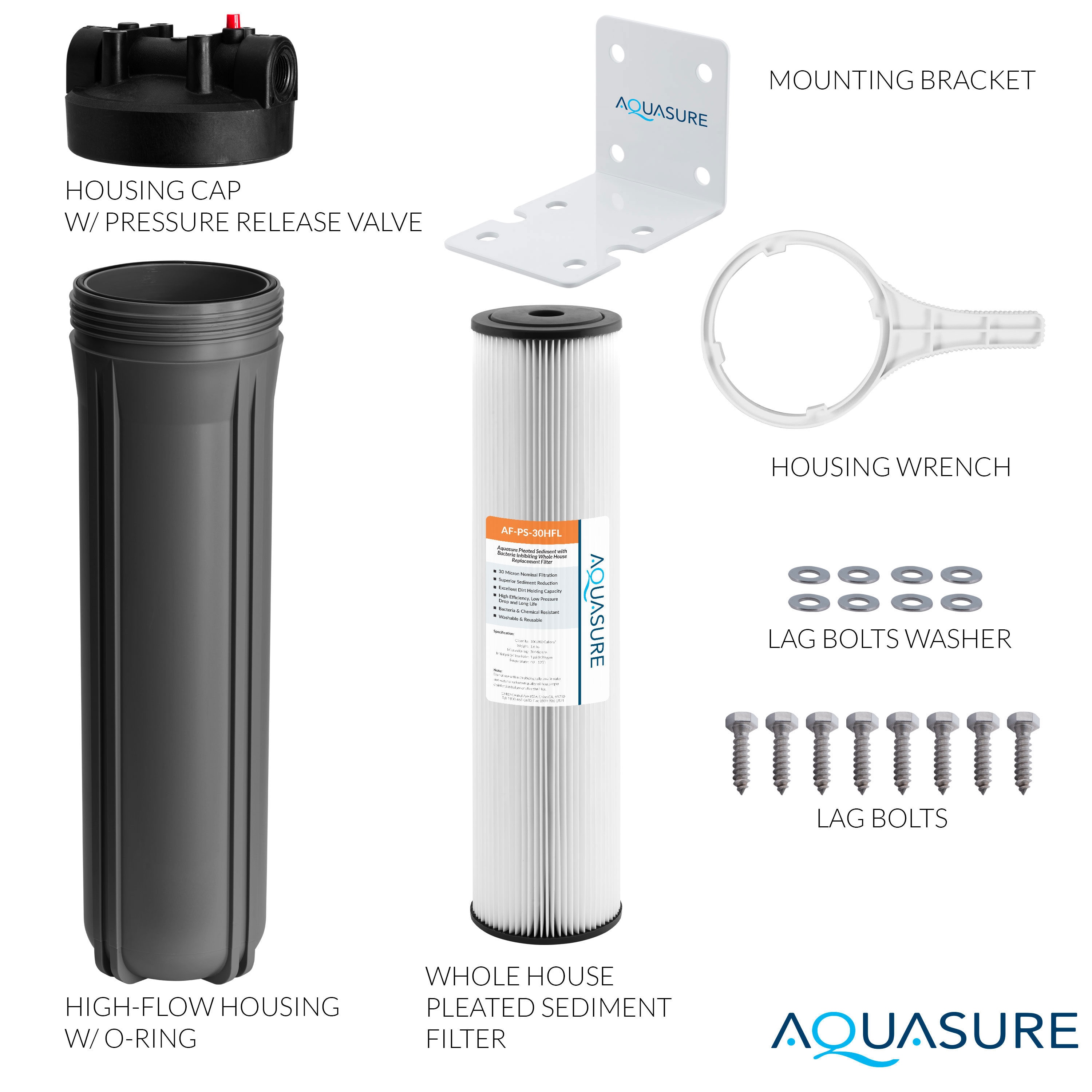Aquasure Fortitude V2 Large Black Pleated Sediment Water Filter