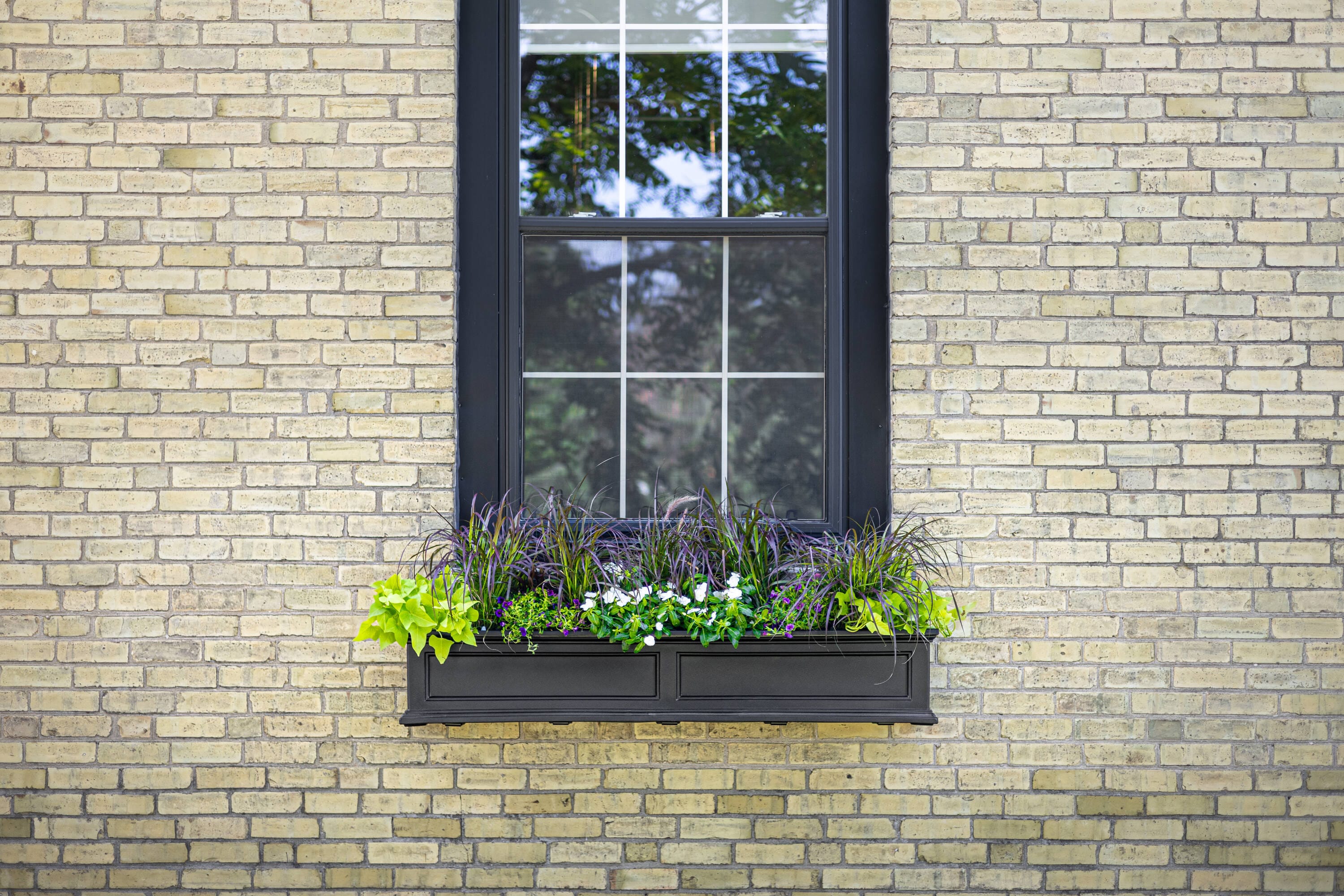 Mayne 5824-B Planter-Window-Box - View #15