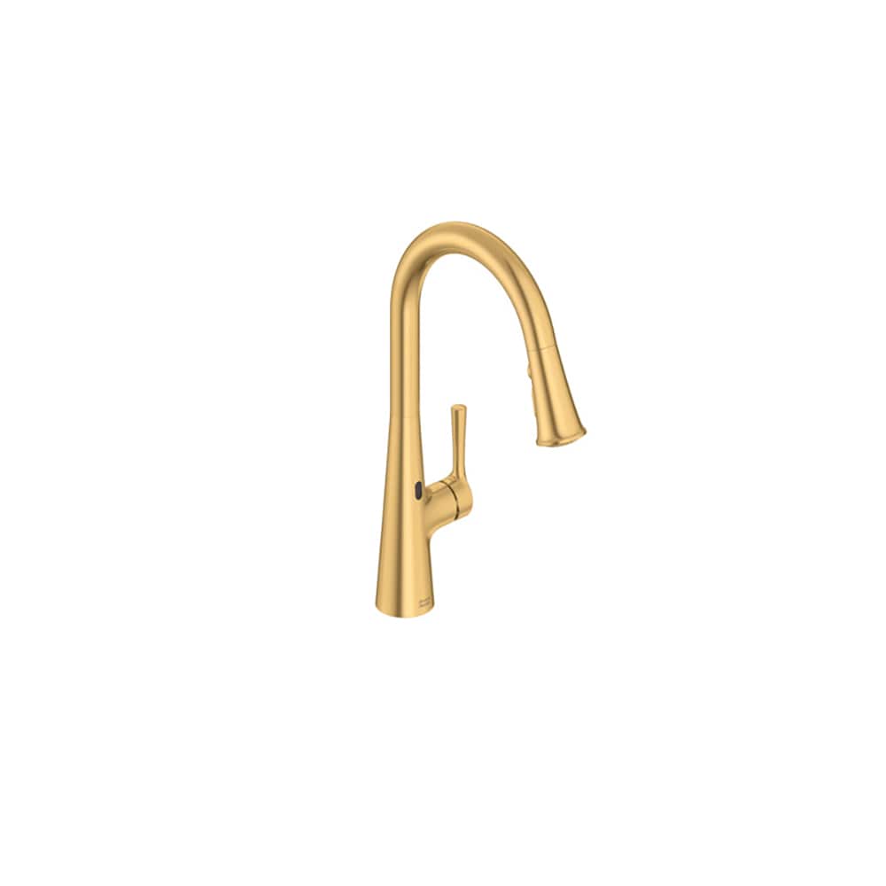 American Standard 7441381.GN0 Kitchen-Faucets - View #2