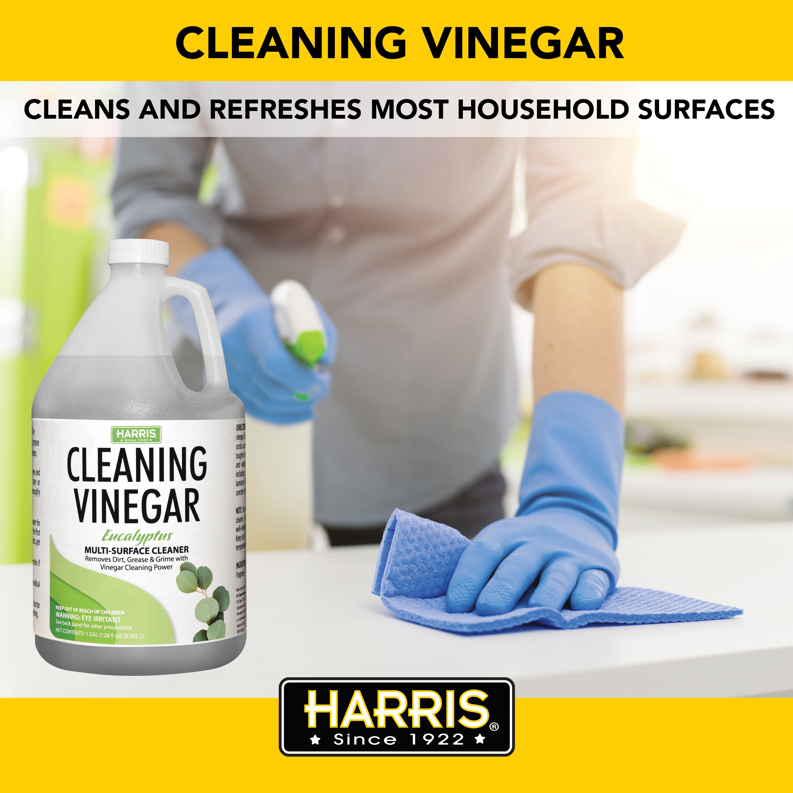 Harris Cleaning Vinegar 128-fl oz Eucalyptus Liquid All-Purpose Cleaner in  the All-Purpose Cleaners department at