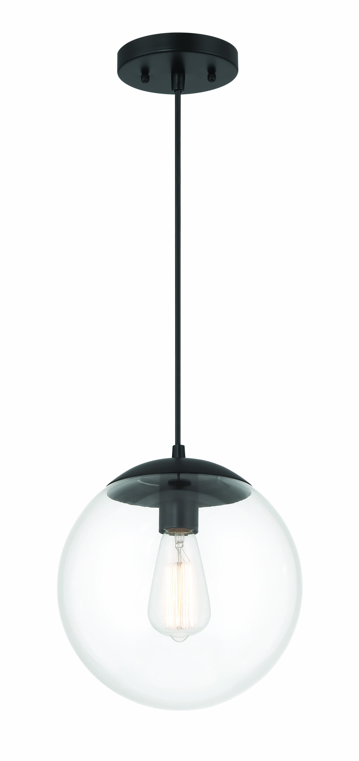 Modern Black Globe Pendant Light with Clear Glass Shade