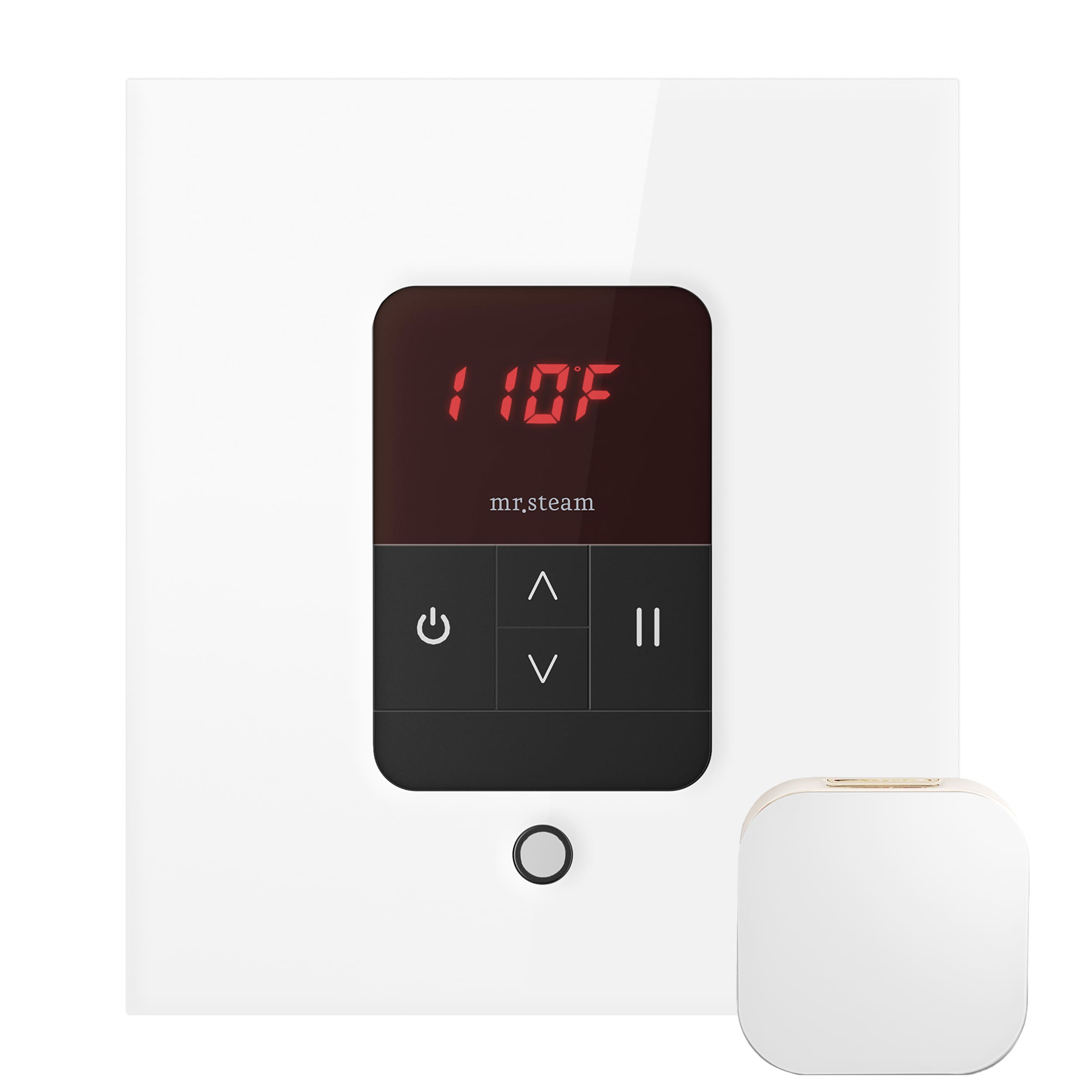 Mr. Steam 120Watt Glass White Steam Control Unit with 1 Control Panel