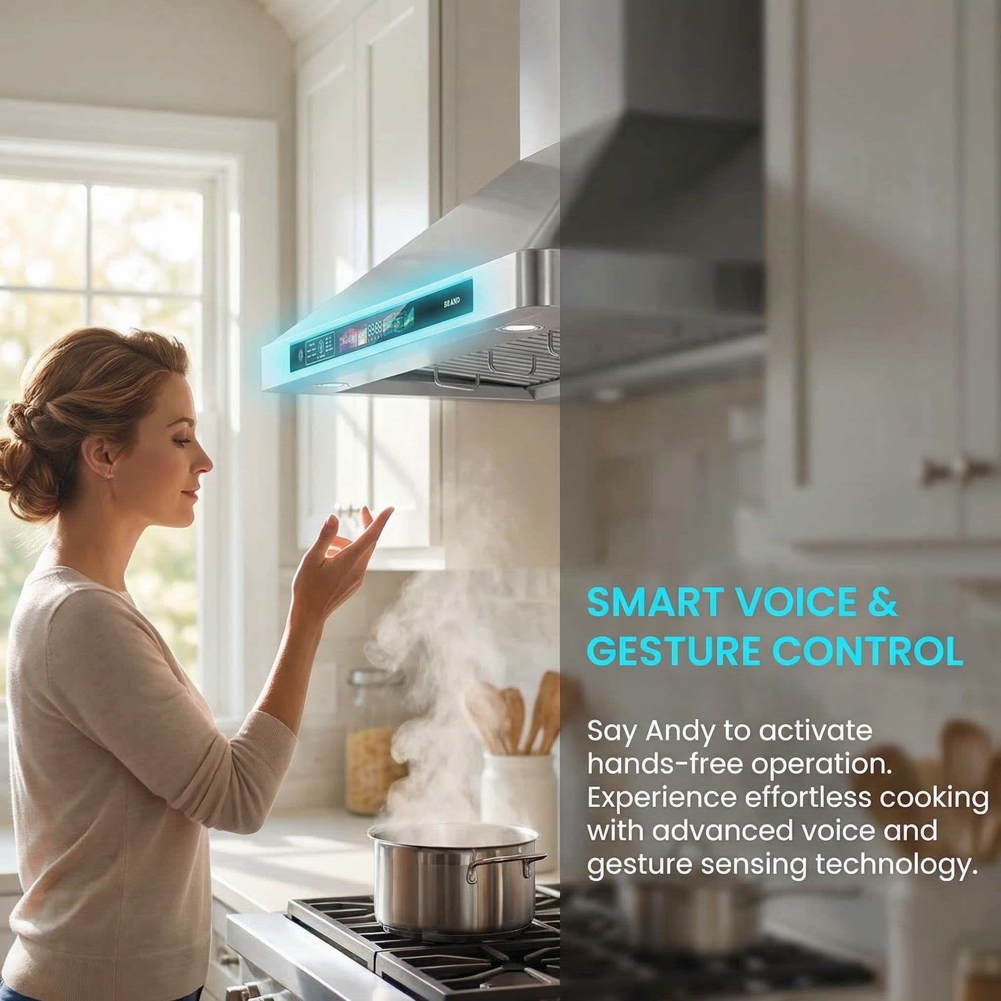 CESICIA RBI-65 Wall-Mounted-Range-Hoods - View #6