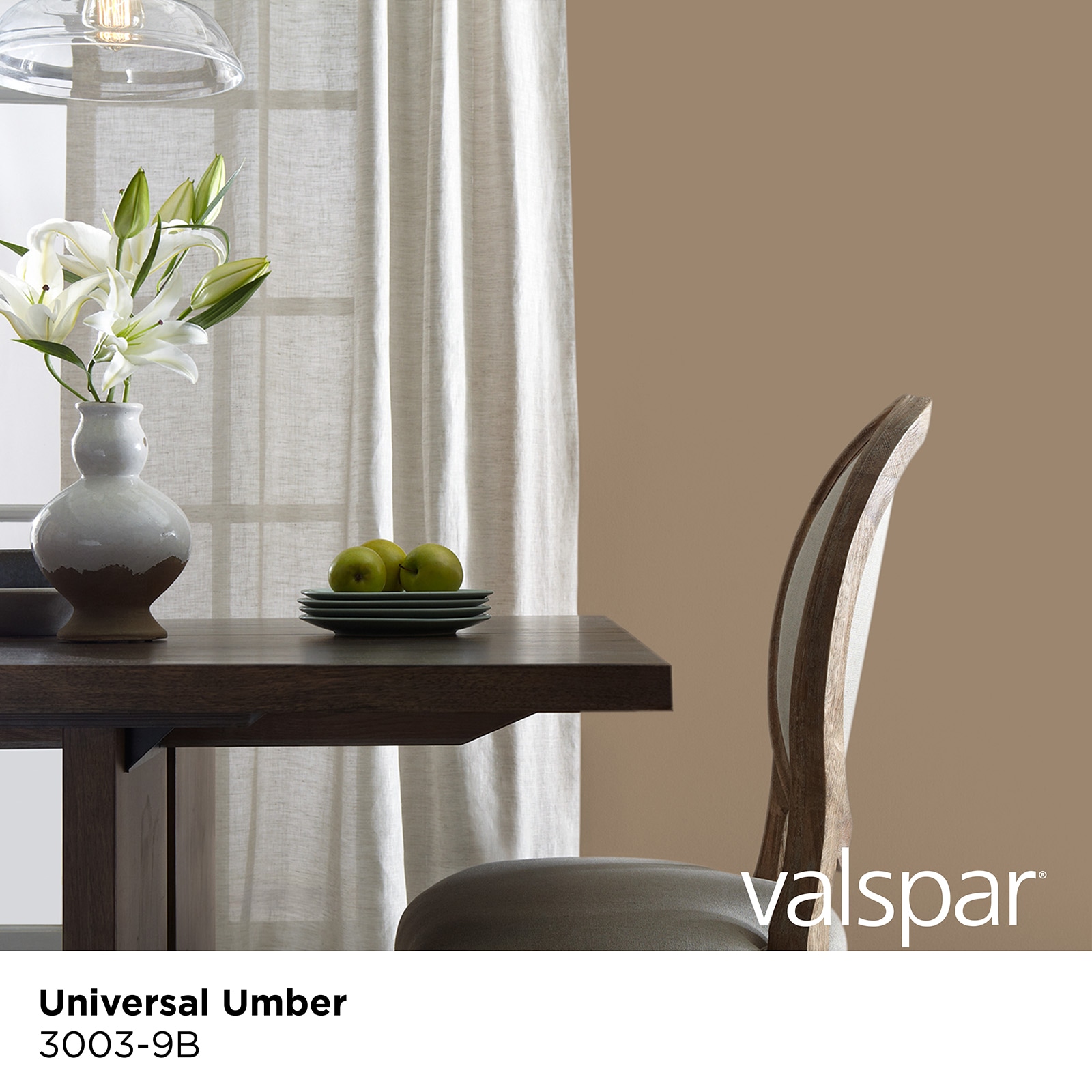 Valspar 3003-9B-2916579 Int-Ext-Paint - View #3