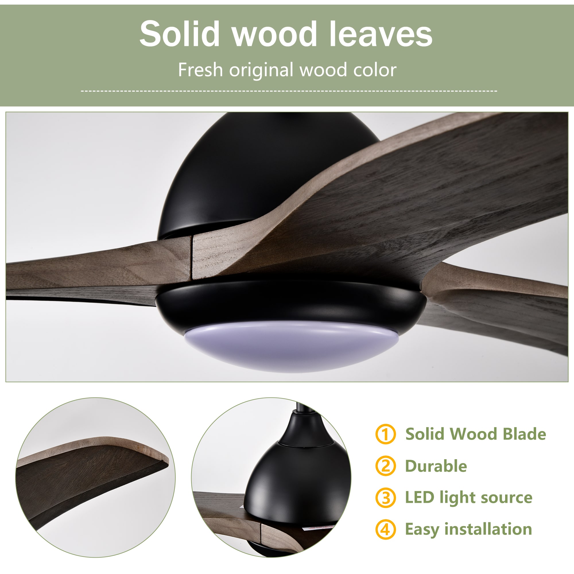 LTMATE LSY52EDC5003R-BL Ceiling-Fans - View #3