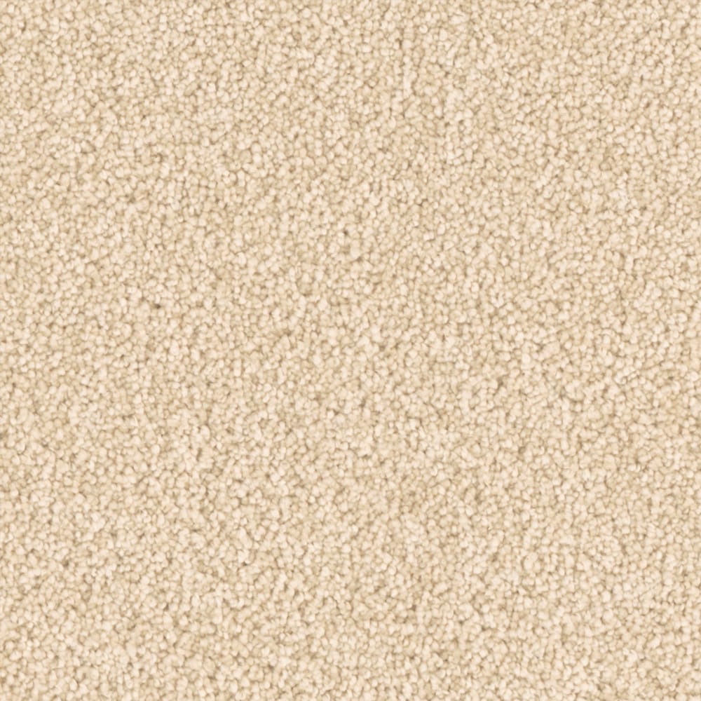 STAINMASTER S9165-712-1200-MO Imagine Brainstorm Multi-Colored 65-oz sq yard Polyester Textured Indoor Carpet