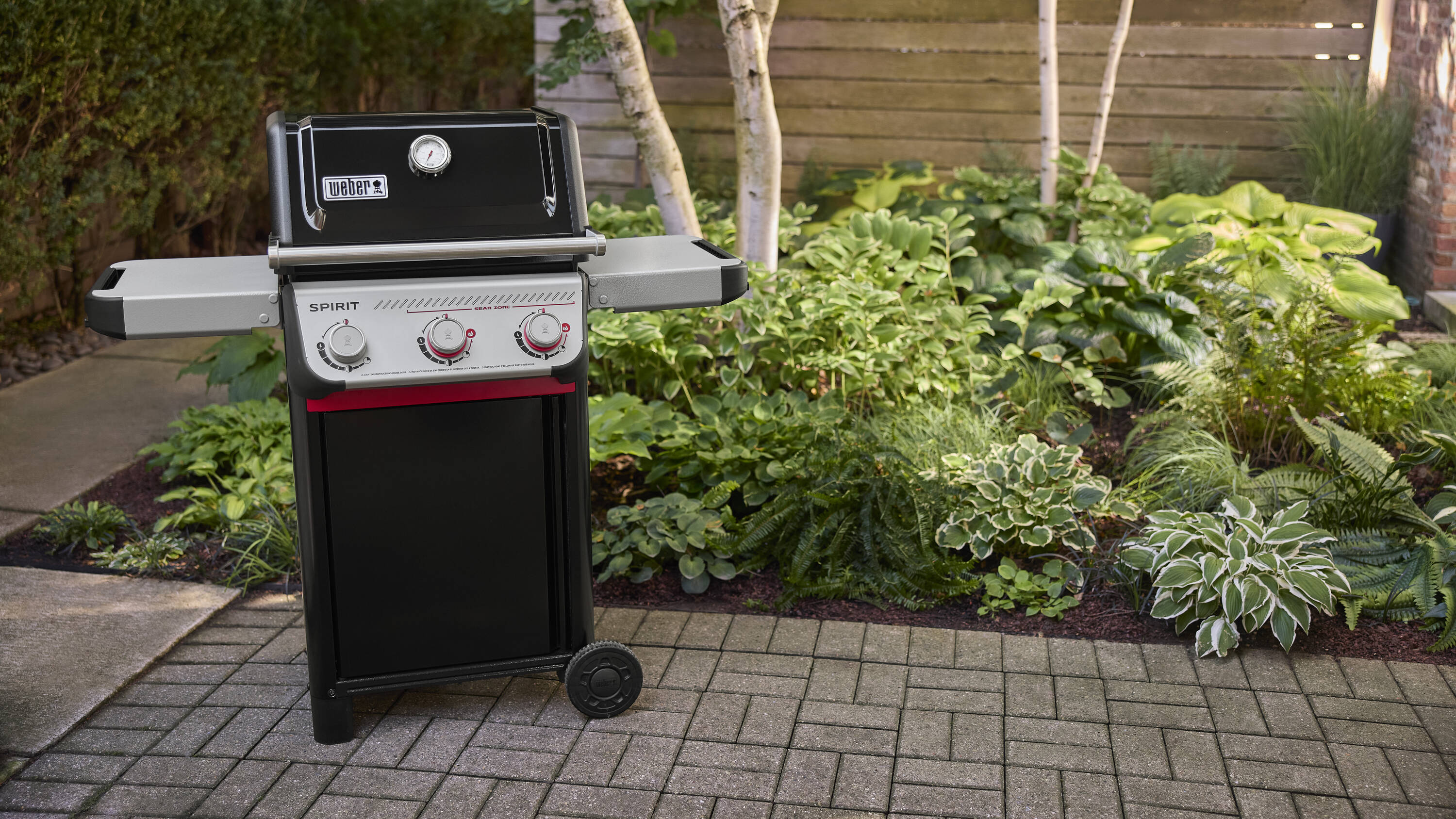 Weber 1500844 Gas-Grill - View #5