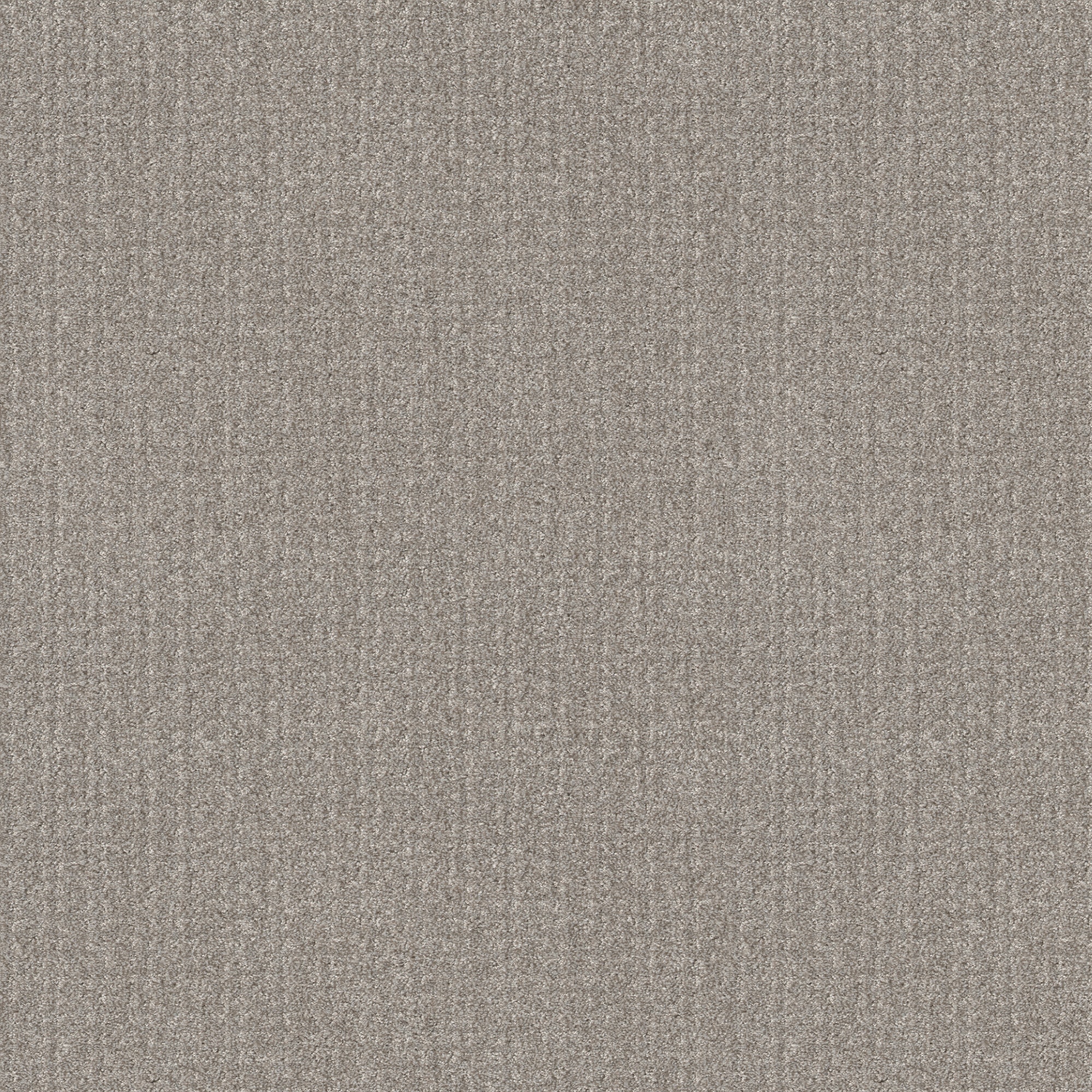 STAINMASTER 7L88800104 Scenic Route Split Sediment Brown 43.9-oz sq yard Polyester Pattern Indoor Carpet