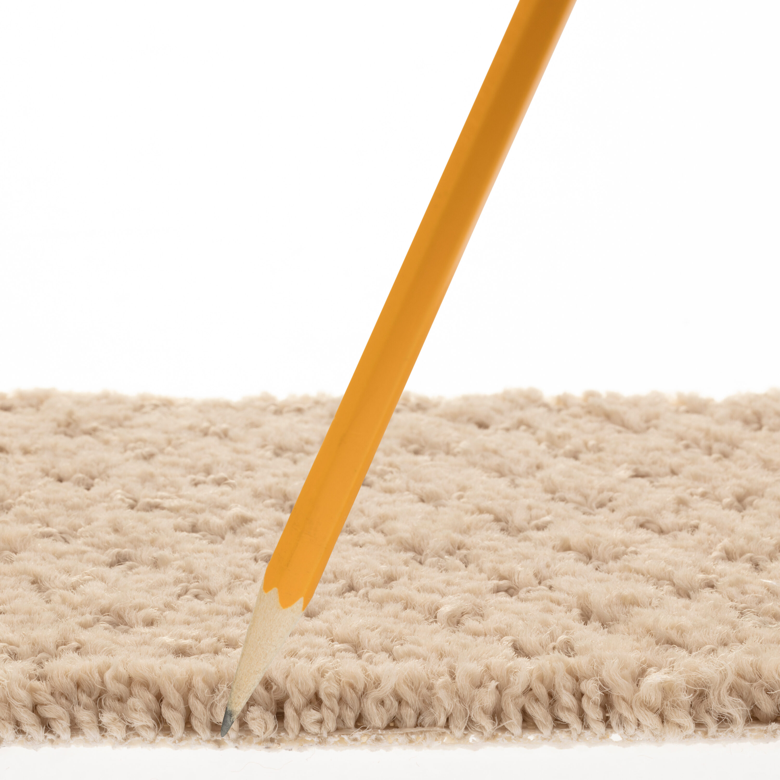 STAINMASTER PetProtect 7L899 - 152 - SAMP Carpet-Samples - View #7