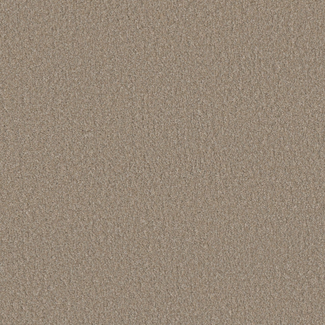 STAINMASTER L5012-1211-1200-AB Joyful Sound I Whistle Tan 45-oz sq yard Solution-dyed polyester Textured Indoor Carpet