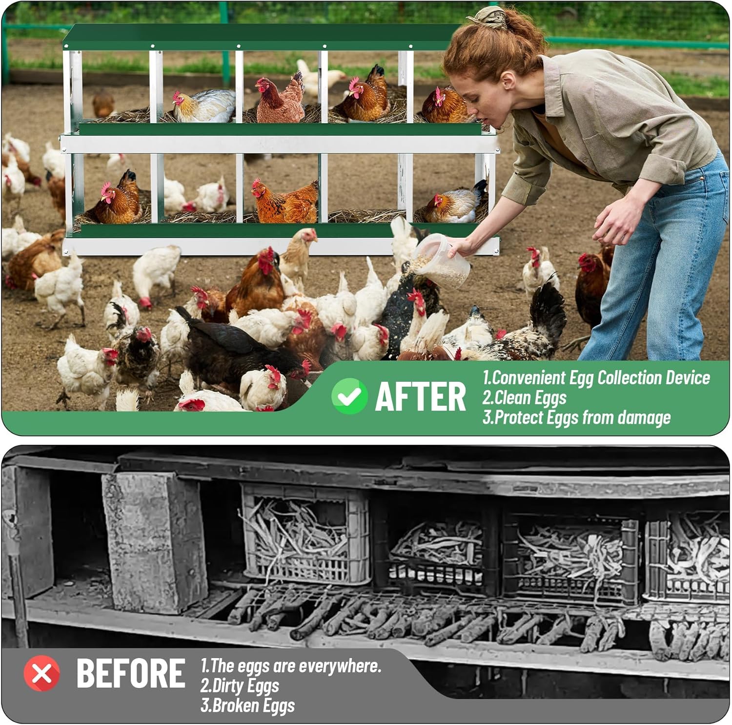 Qeetex WLS-PHO-348SAP6C Chicken-Coops-Rabbit-Hutches - View #6