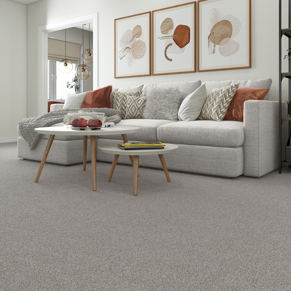 Style Selections CCV05-12-L002 Carpet-Panel - View #5