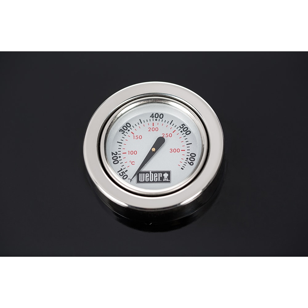 Weber 45010001L  - View #7