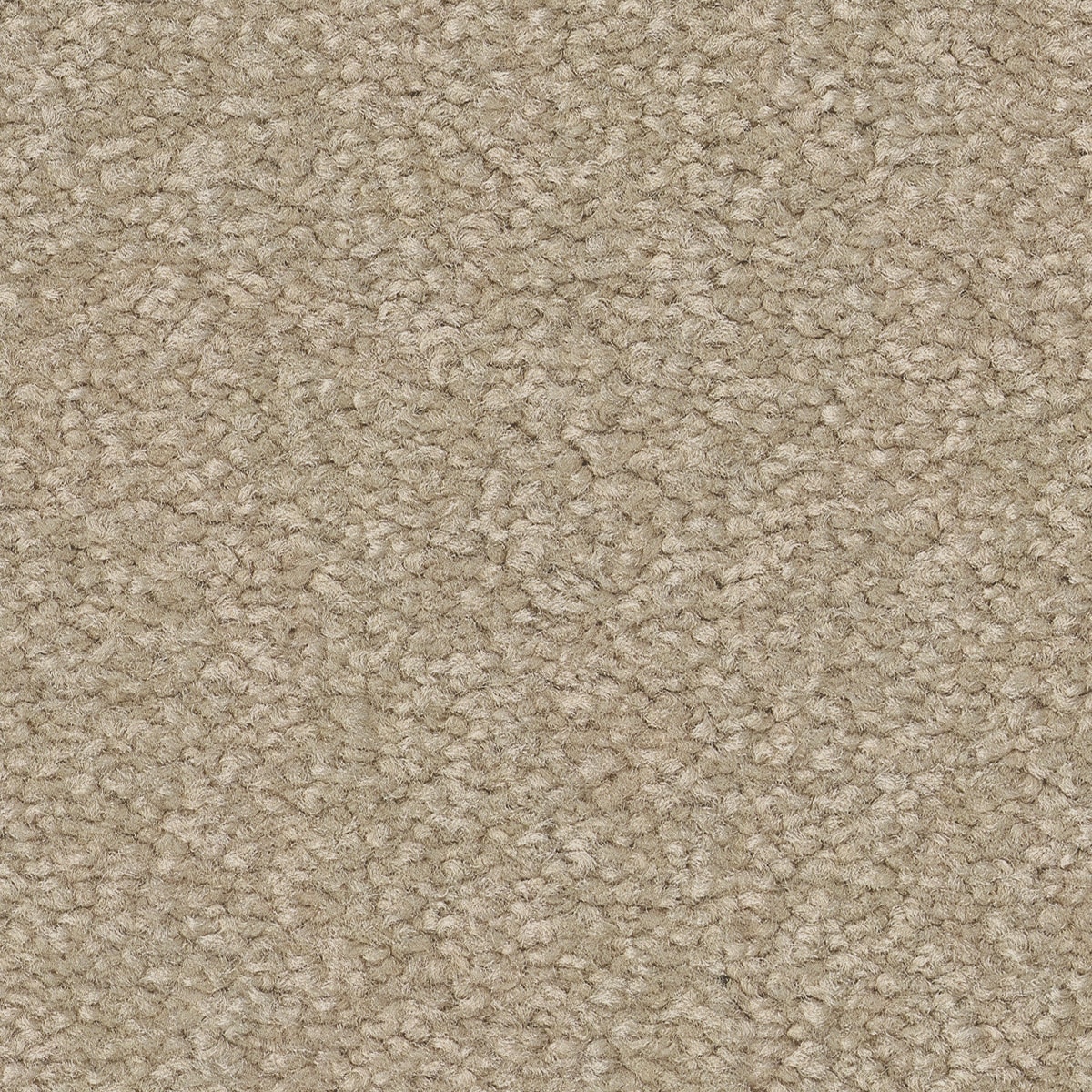STAINMASTER PetProtect 7L88300104 Best Of Breed III Warm Winter Brown 68.2-oz sq yard Nylon Textured Indoor Carpet