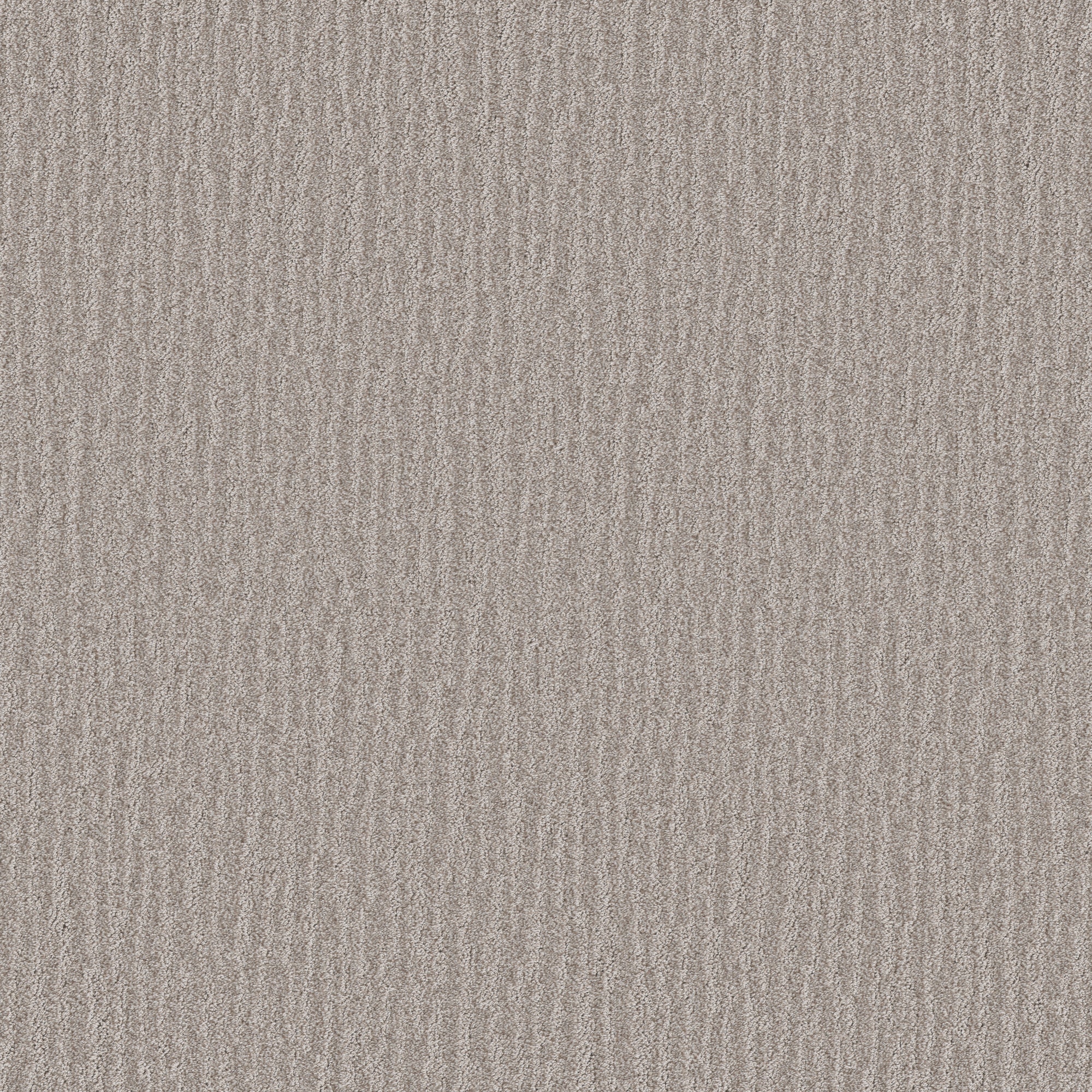 STAINMASTER PetProtect 7L933-114-SAMP (Sample) with LeakDefense No Worries Flax Brown 44-oz sq yard Polyester Pattern Indoor Carpet