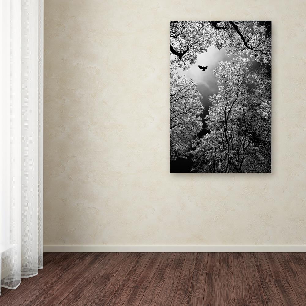Trademark Fine Art 1X04012-C2232GG Goran Stamenkovic "Flight" 22x32 Canvas Art Goran Stamenkovic Multicolor Framed 32-Inches H x 22-Inches W Landscape Canvas Print