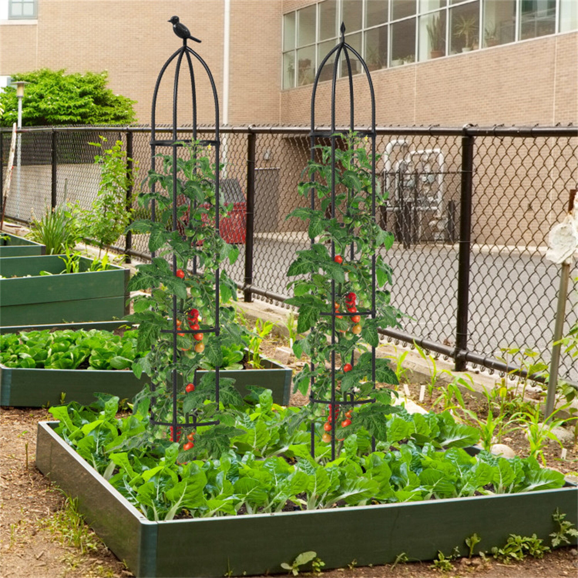 BABOOM BOM-T4164BK-CO Garden-Trellis - View #3