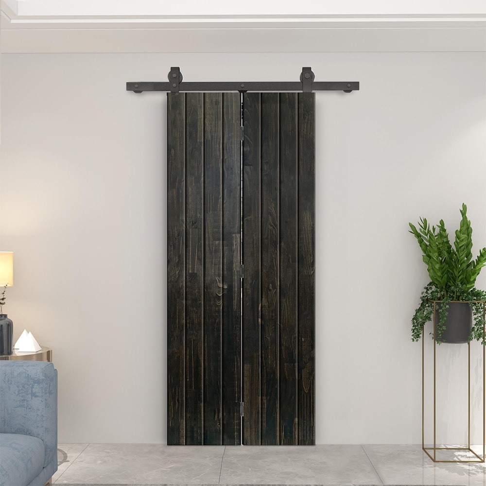 CALHOME 1100T+FV08-80X22DT Barn-Doors - View #2