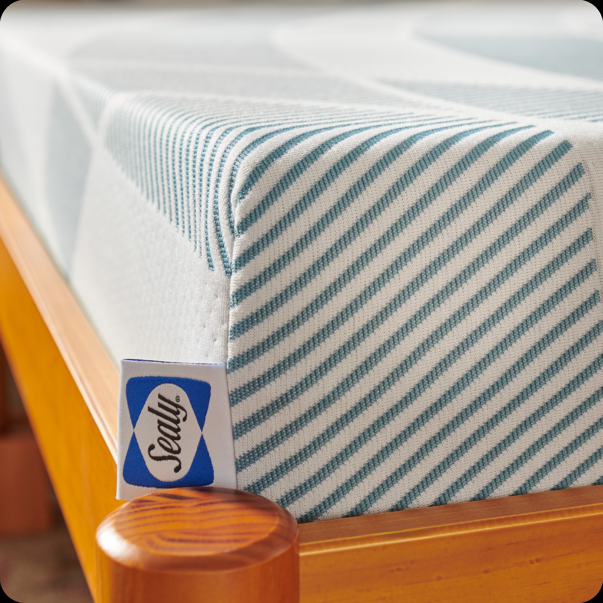 Sealy F03-00235-FL0 Mattresses-Boxsprings - View #9