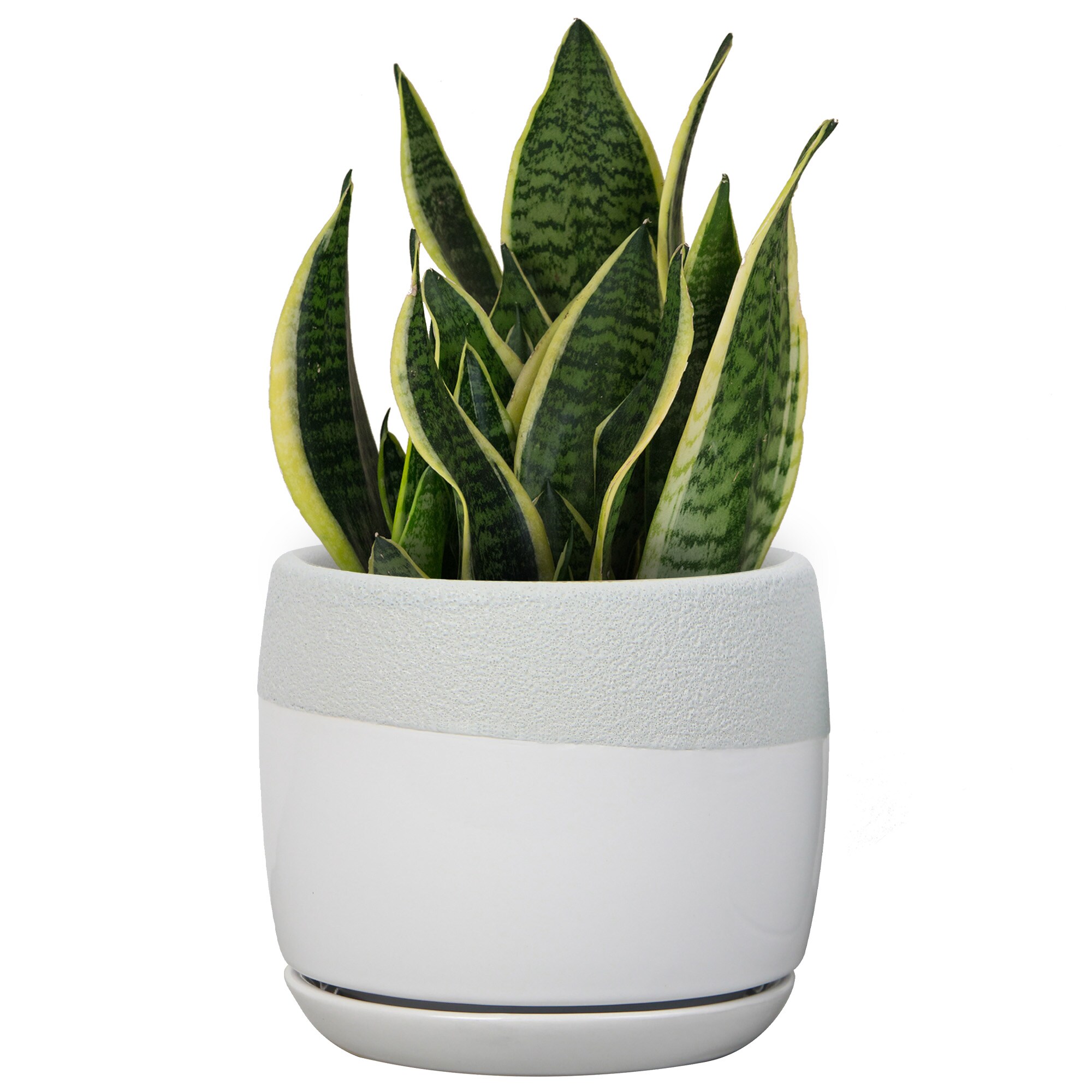 allen + roth LUCR019355S-06 Planter-Window-Box - View #5
