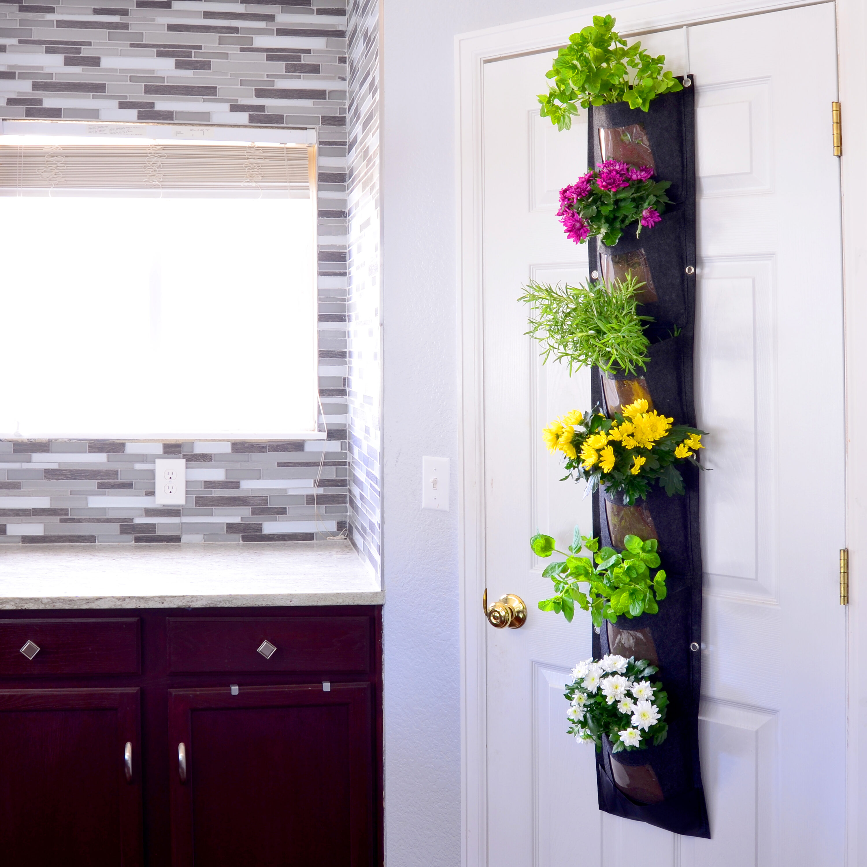 CHARGUY 3 House-Plant-Accessories - View #2