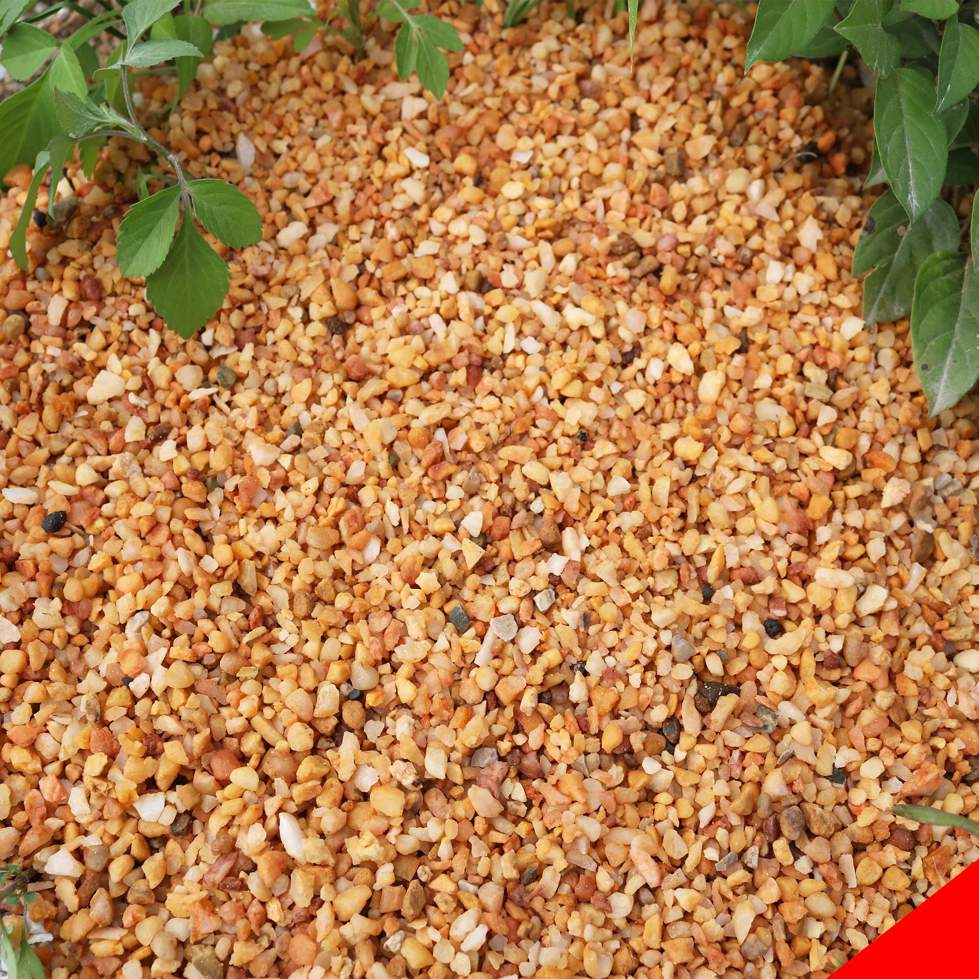 Oyezvary  18lb Cactus Pea Gravel Natural Decorative Pebbles for Indoor Plants Succulents Terrariums Aquariums Vases Outdoor Gardening Top