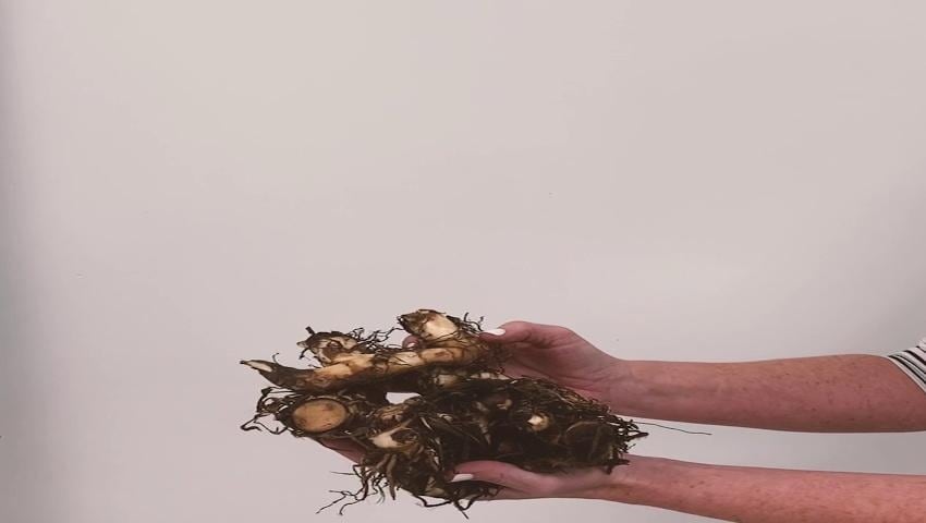A thumbnail for the video