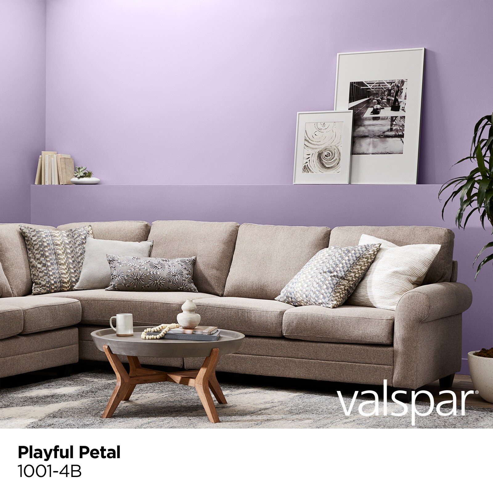 Valspar 1001-4B-2916574 Int-Ext-Paint - View #2