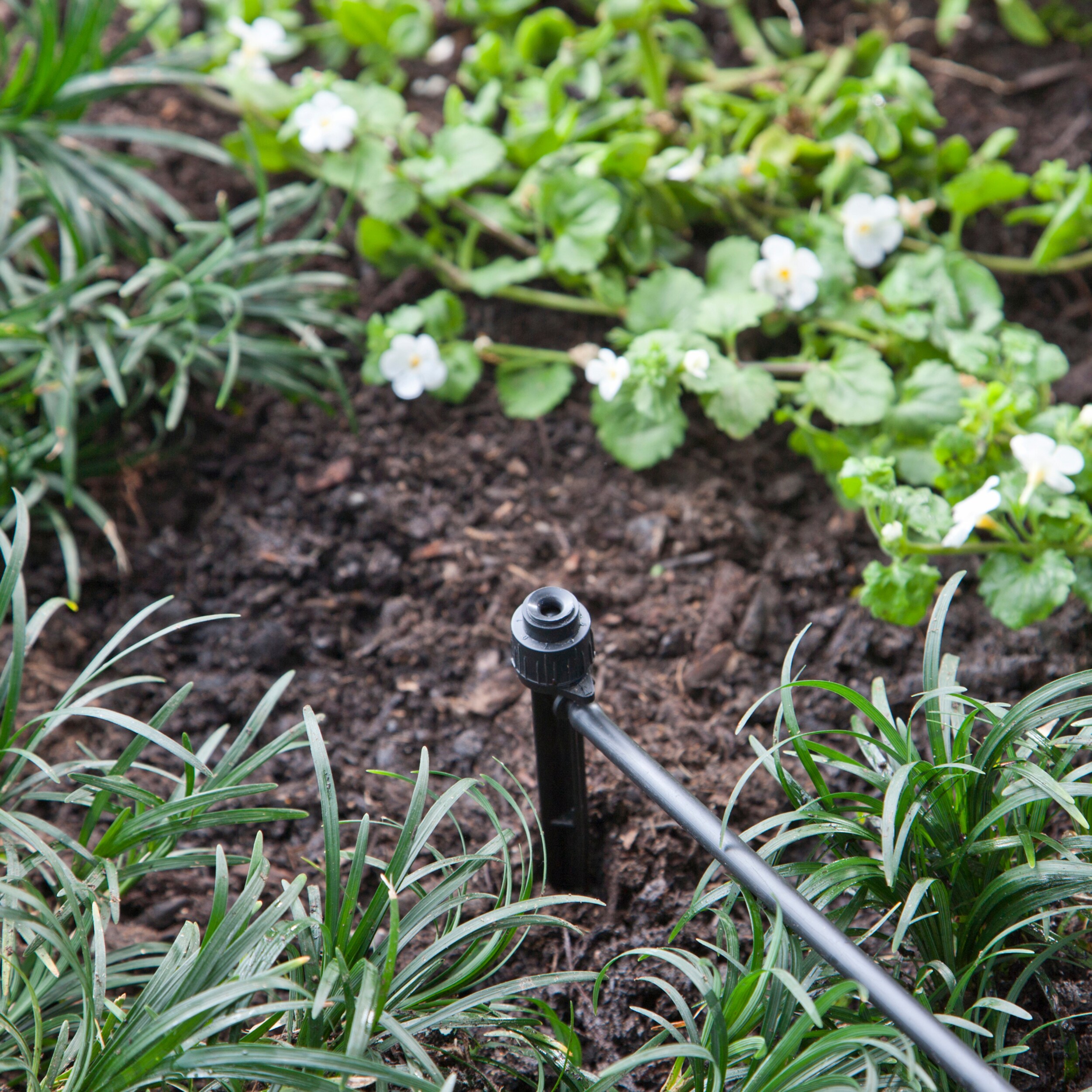 Raindrip 0.5 Gph Drip Irrigation Dripper (Pack Of- 10) PC2010B at Lowes.com