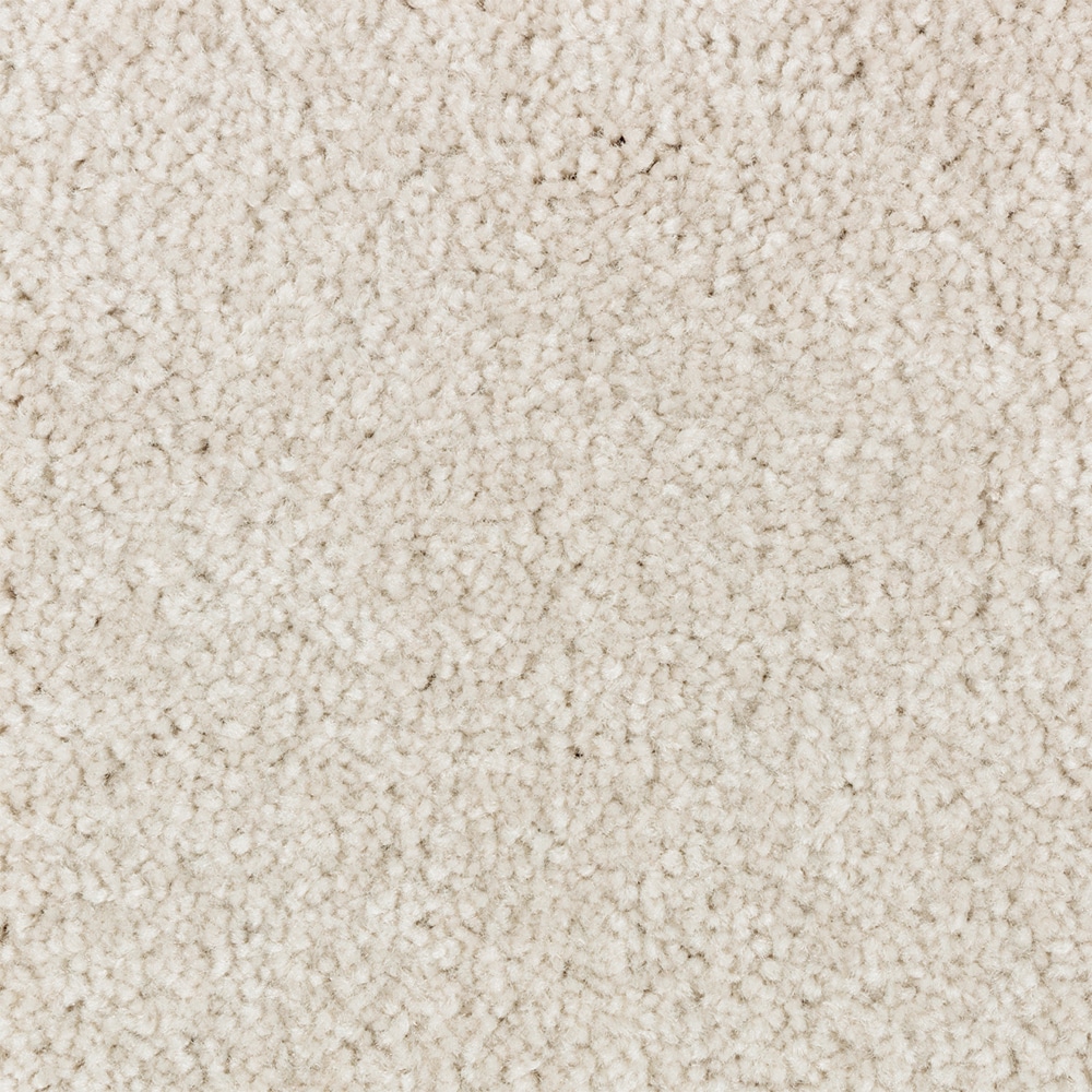 STAINMASTER STP66-15-L003 Serenity Stride I Slight Storm Gray 50-oz sq yard Polyester Textured Indoor Carpet
