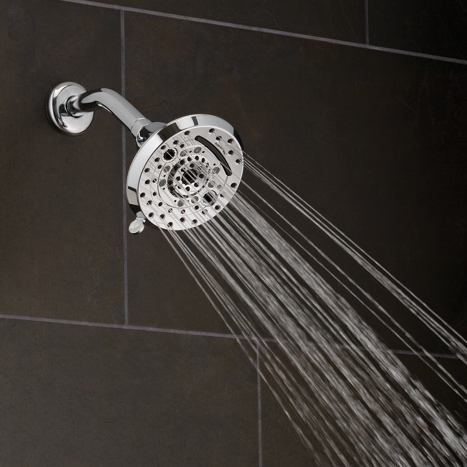 Amp Polished Chrome 5-Inch Wall Mounted Shower Head