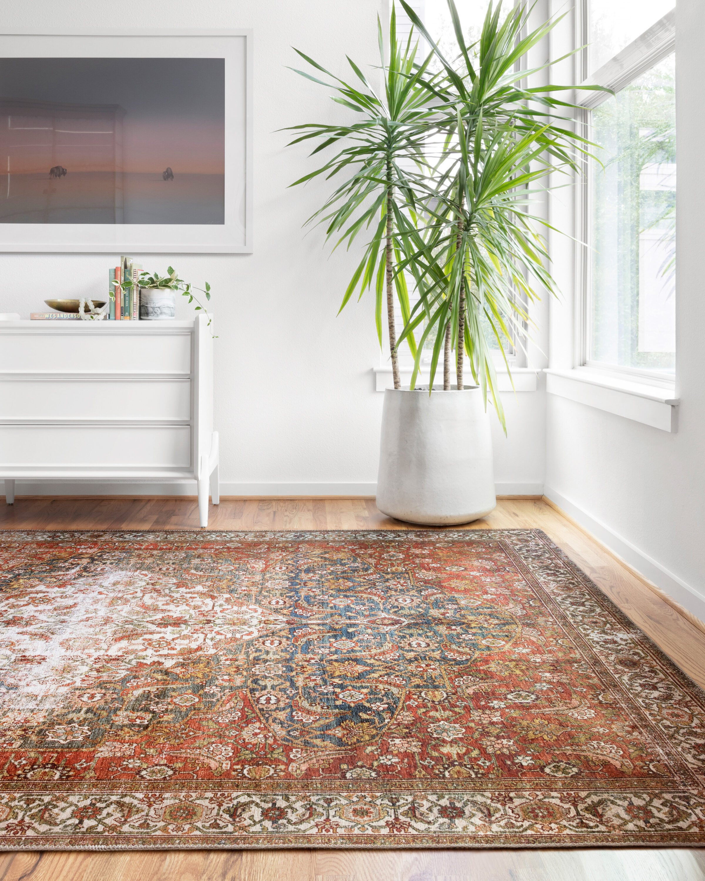 Layla 5' x 7' Blue and Red Synthetic Area Rug