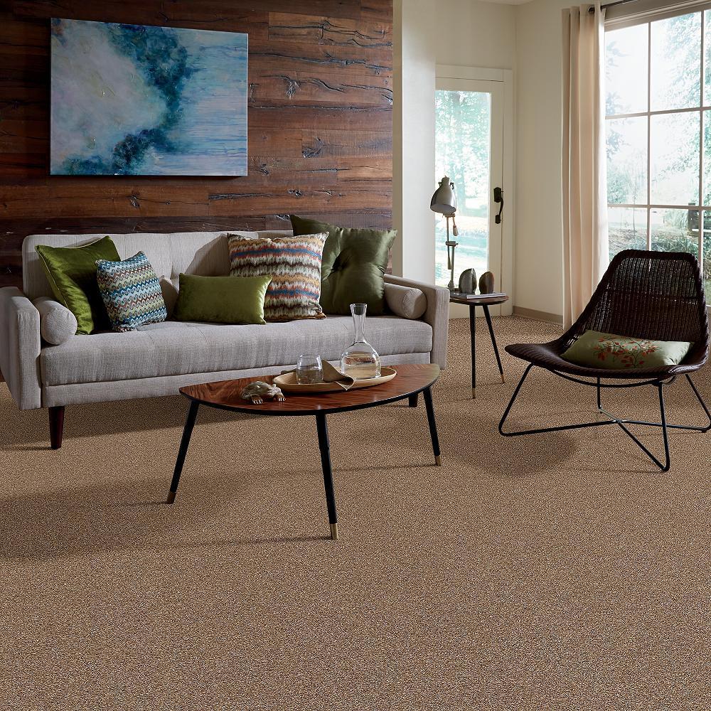 STAINMASTER B707200008 Carpet-Panel - View #4