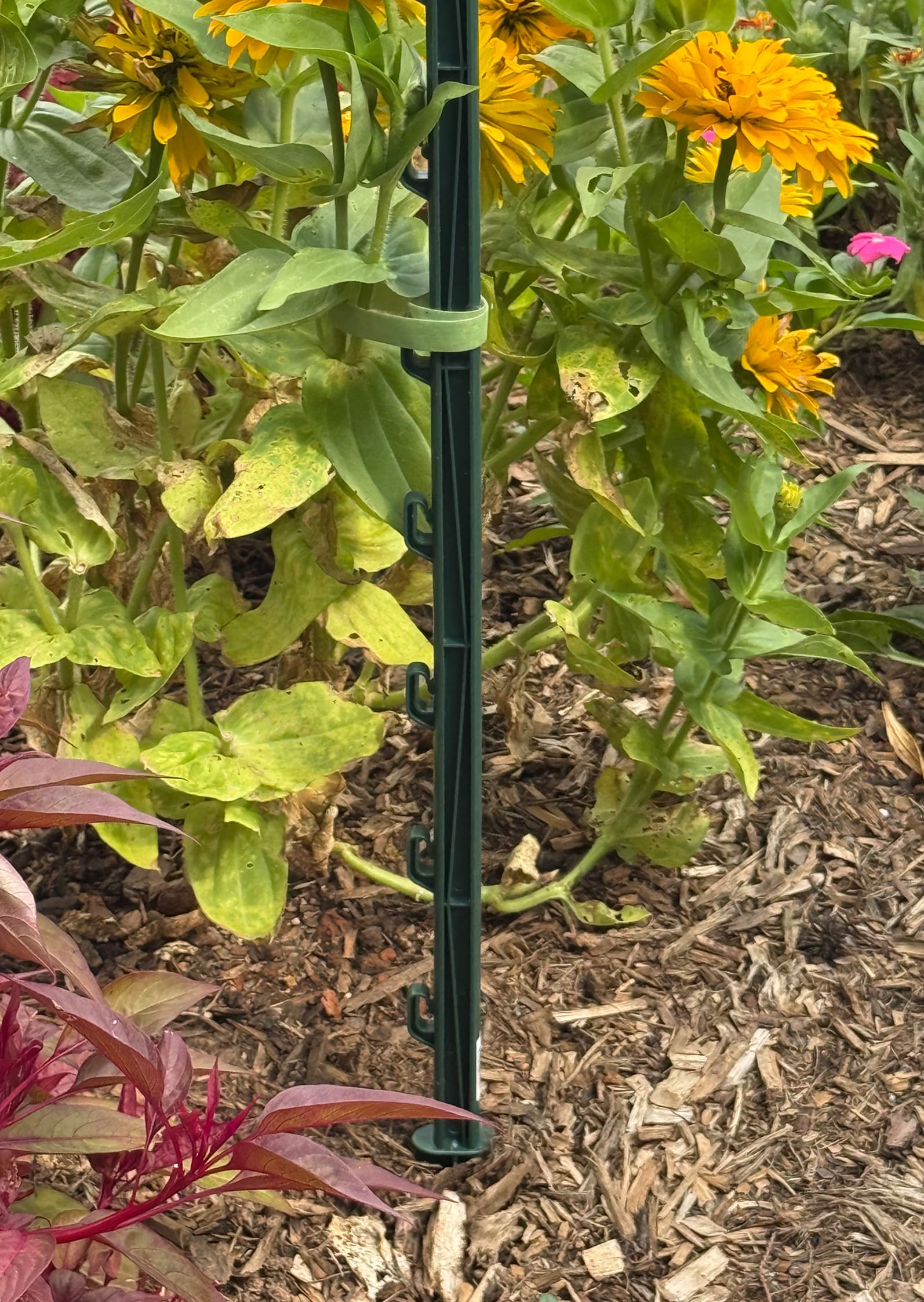 SMV Industries 0.75-in x 2.5-ft Plastic Electric Fence Post in the ...