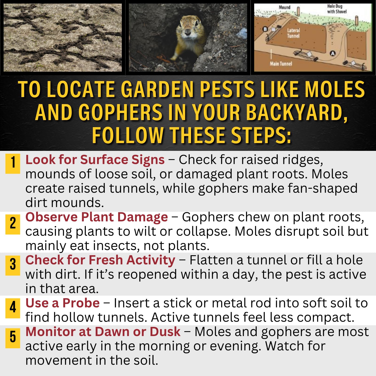 Gonzo 100518442 Animal-Rodent-Control - View #7