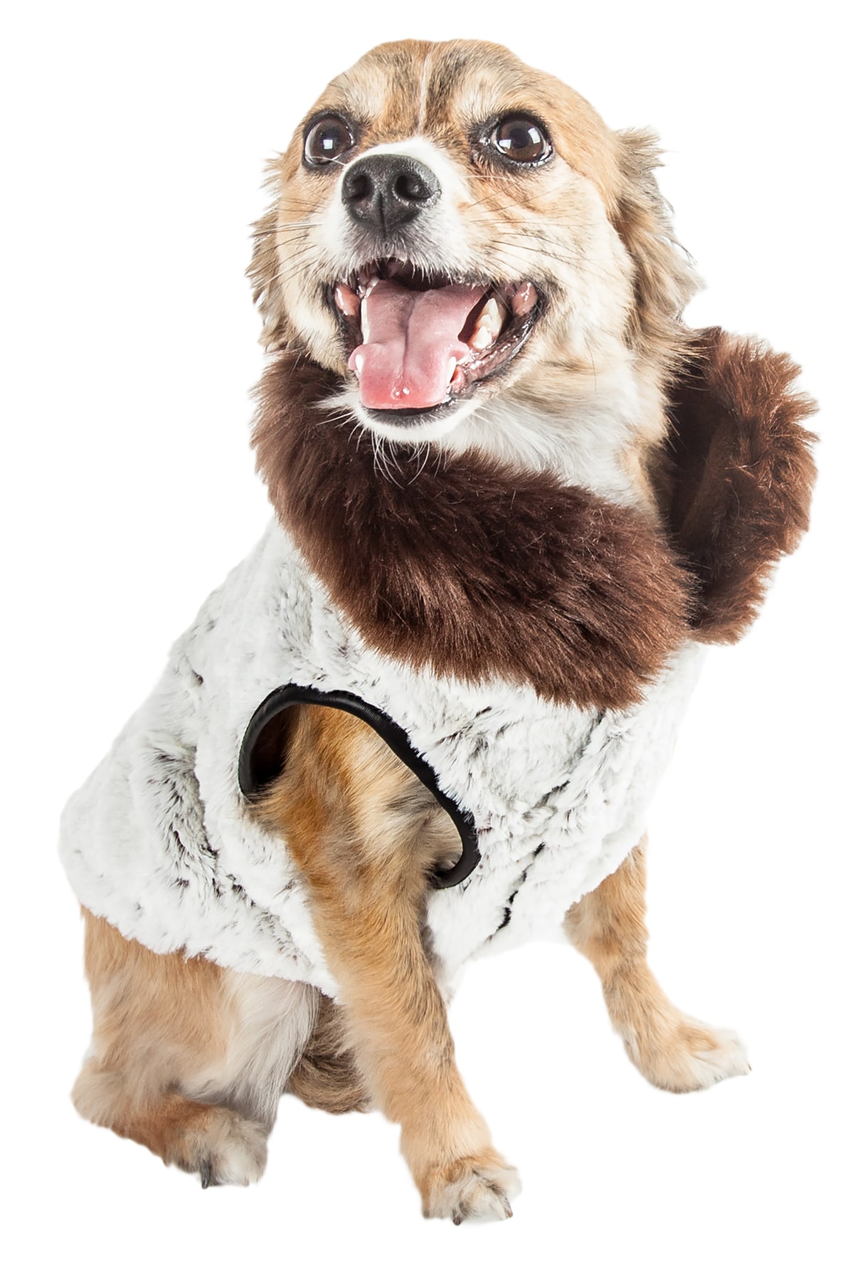 Pet Life 52WHXS Dog-Apparel - View #2