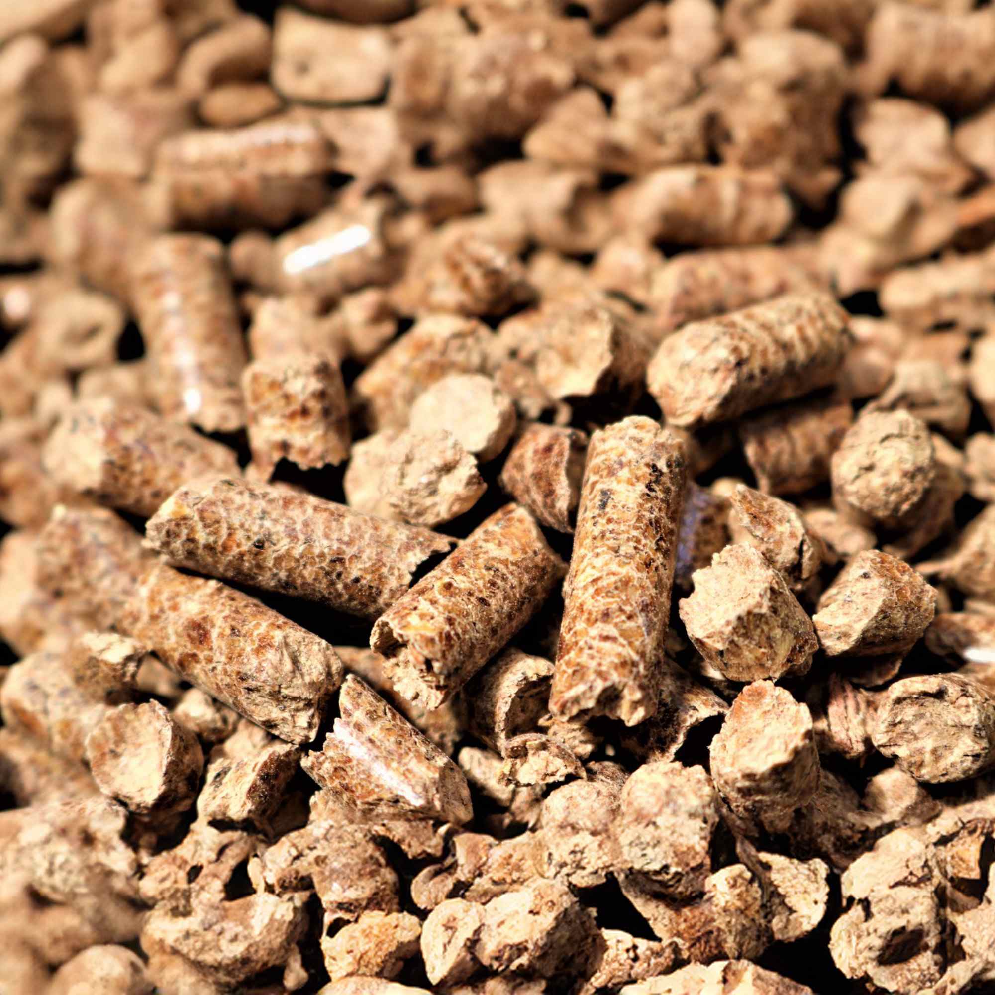 Bear Mountain BBQ 413029 Grilling-Pellets - View #4