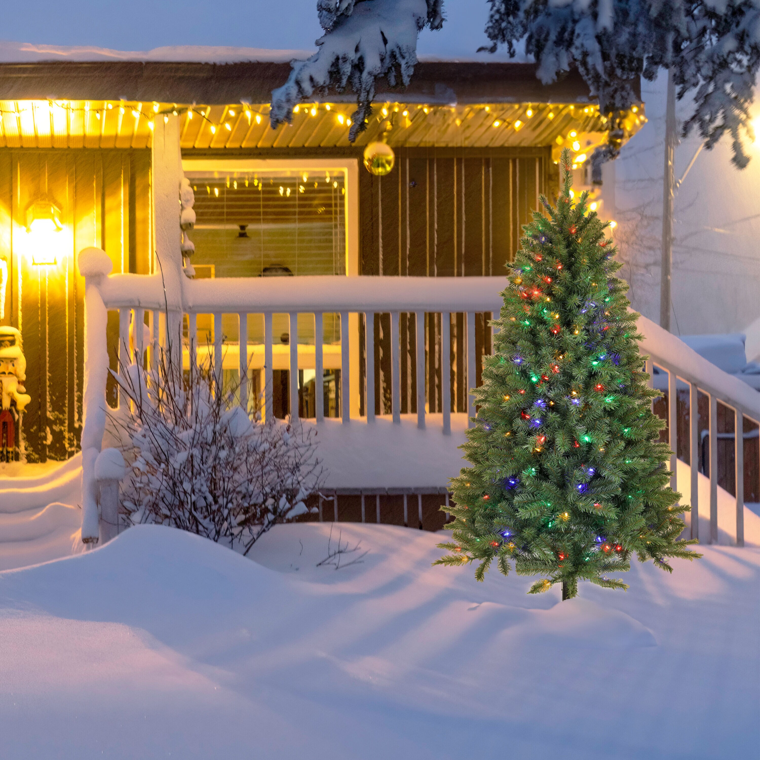 6-7 ft. Freshly Cut Live Pseudotsuga Douglas Fir Christmas