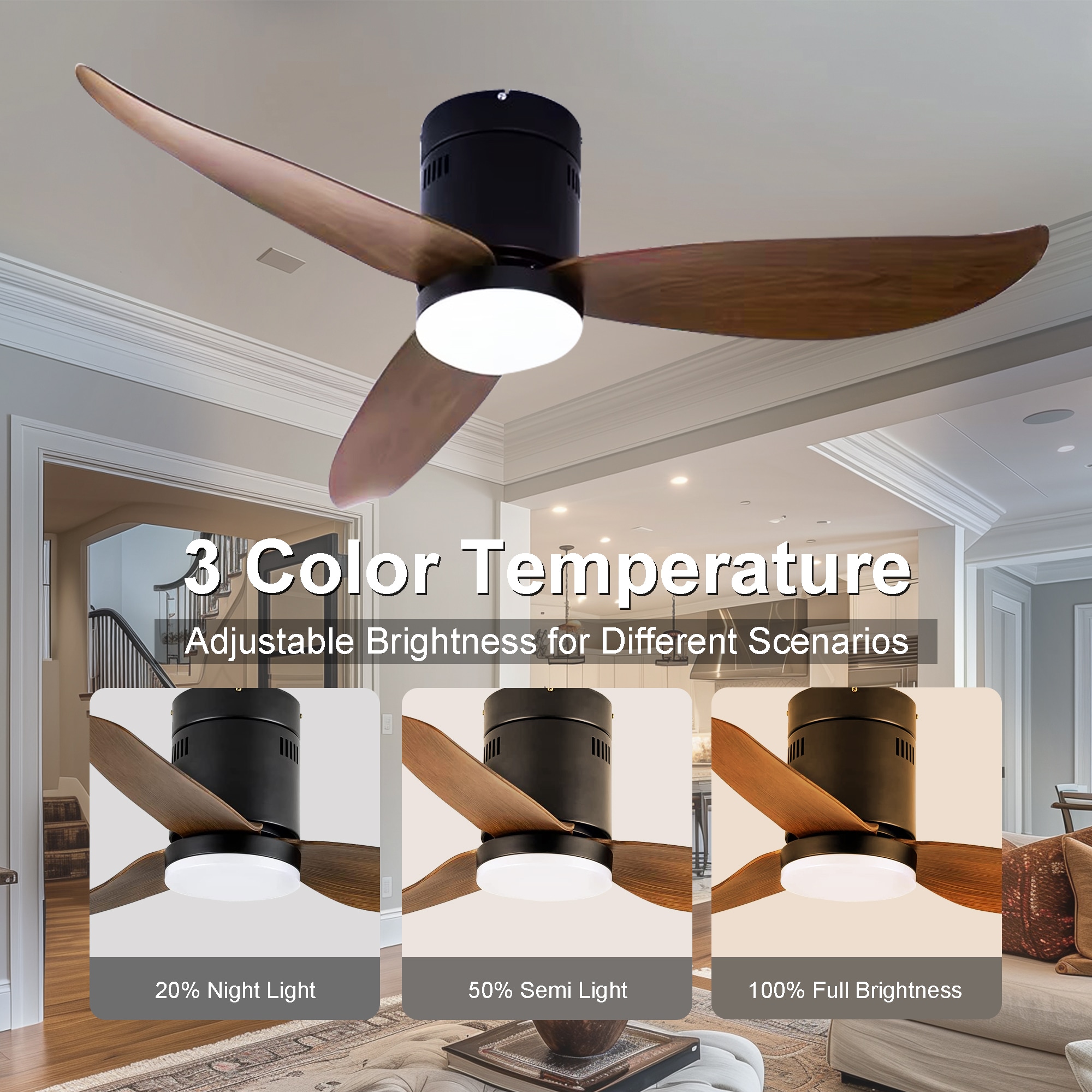 Sunrinx CF-12-DS Ceiling-Fans - View #5