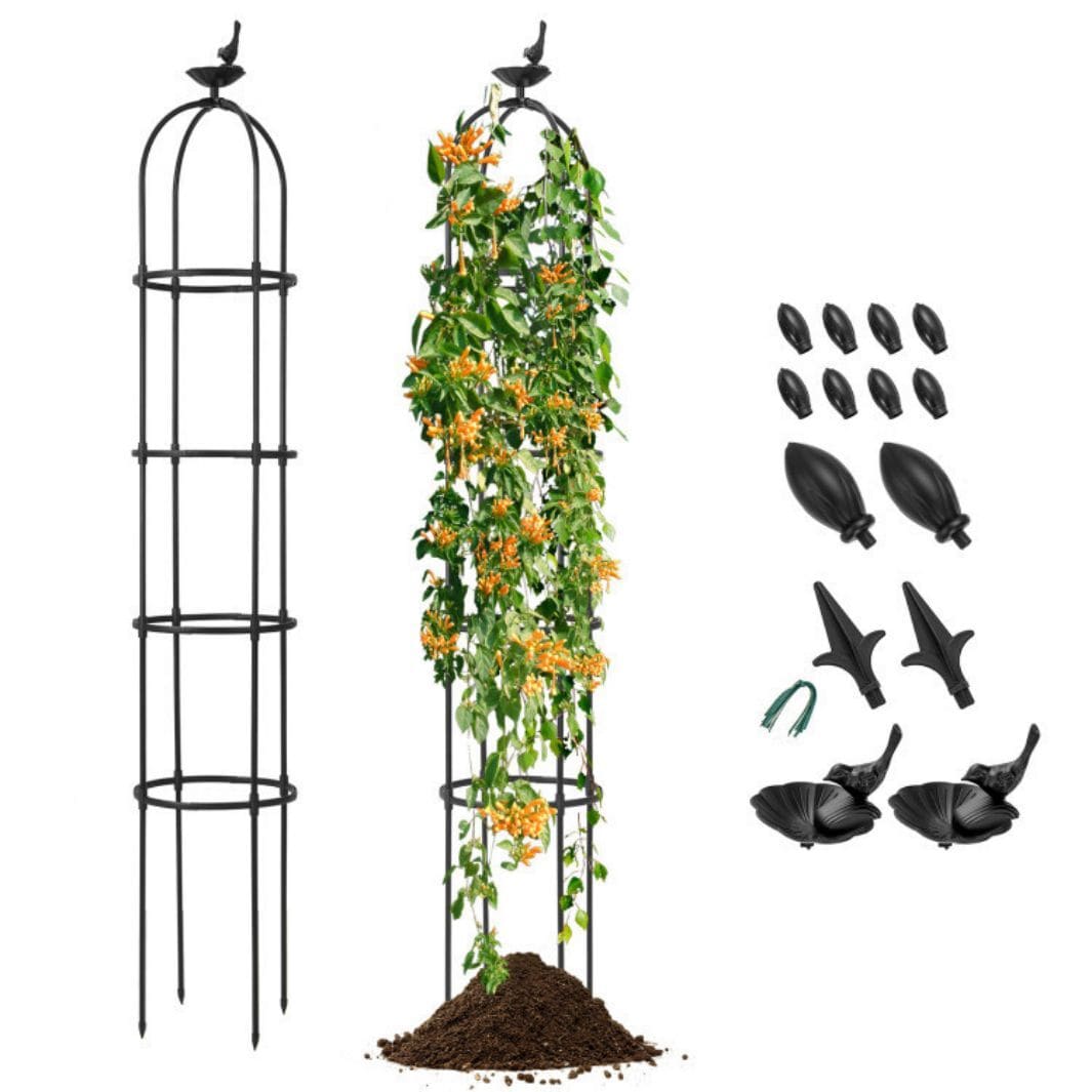 AHIOU HOME ZAAHD-HGTY4AGT 12-in W x 79-in H Black Iron Garden Trellis For Climbing Plants For Cucumbers For Roses For Tomatoes 2 -Pack