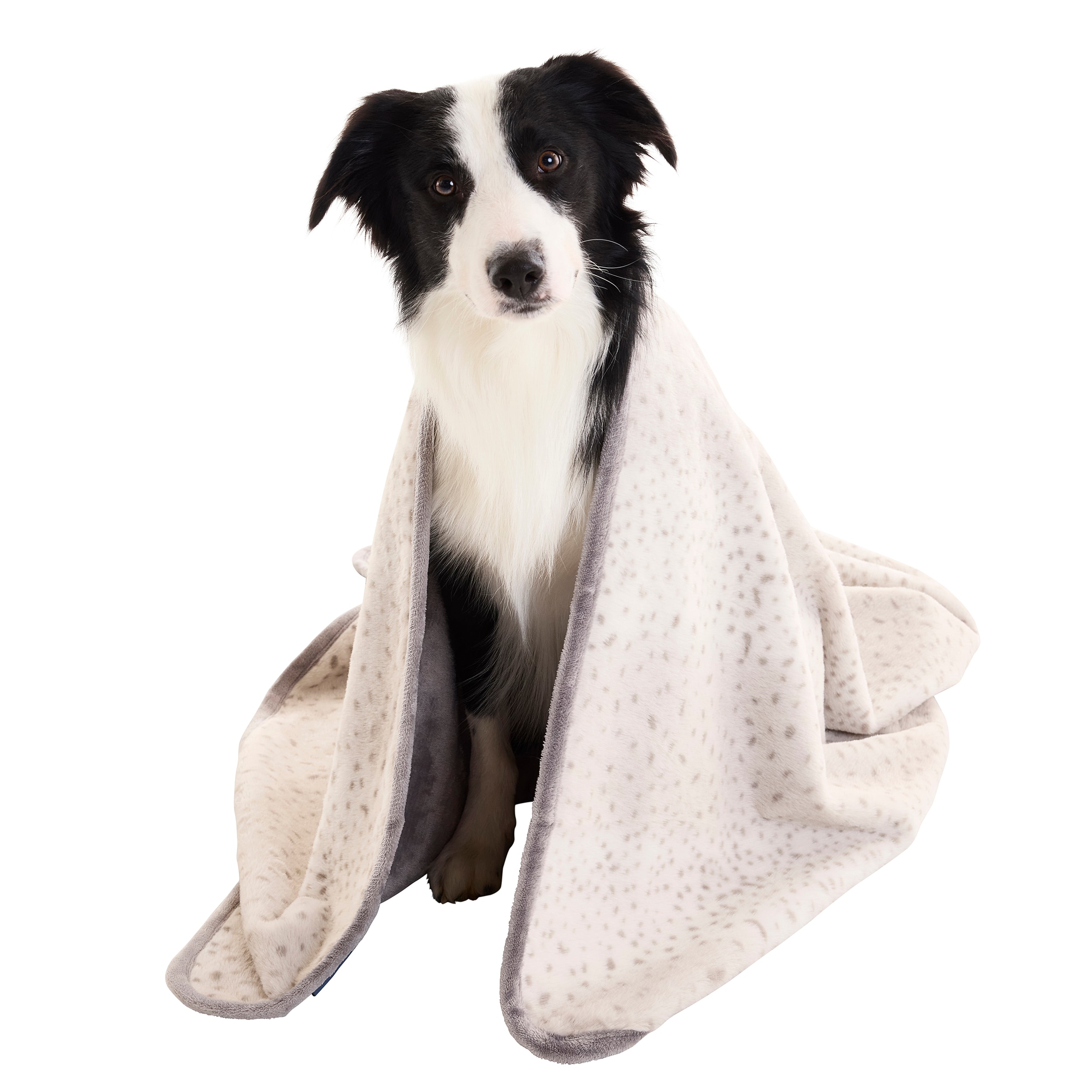Style Selections FBKT256-LGGRY01 Outdoor-Kennel-Accessories - View #6