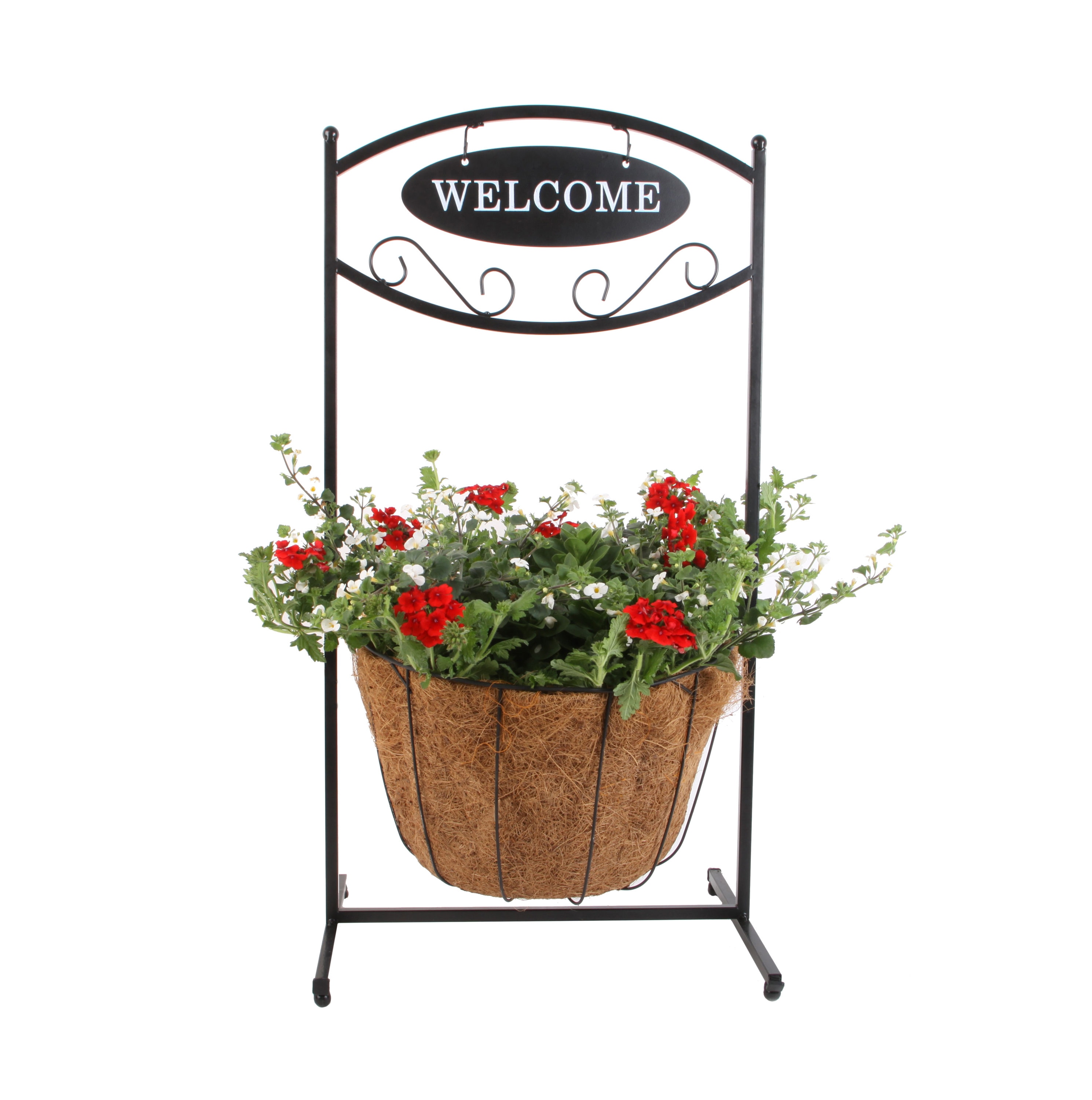 Lowe's NURSERY Multicolor Mixed Annuals Combinations Planter