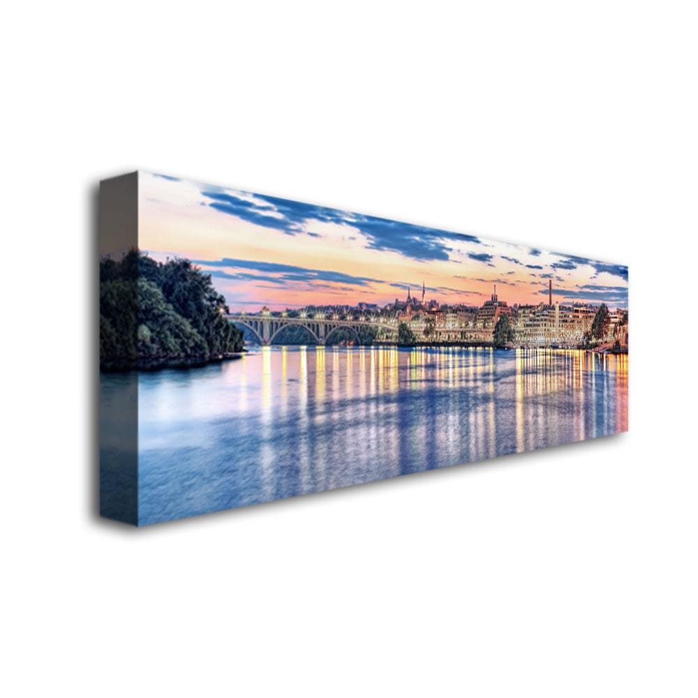 Trademark Fine Art Framed 14-in H x 47-in W Landscape Print on Canvas ...