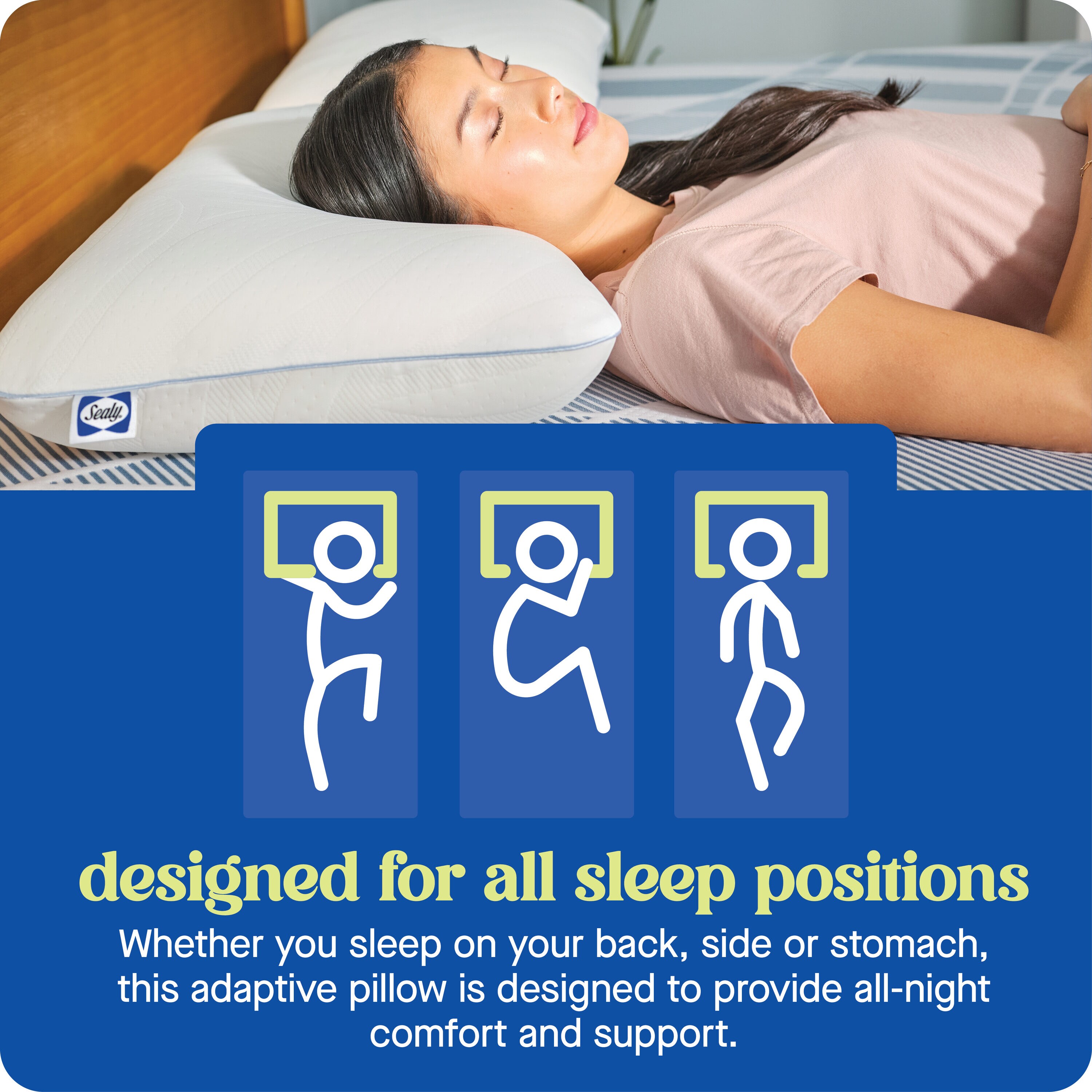 Sealy F01-00850-ST0 Bed-Pillows - View #6