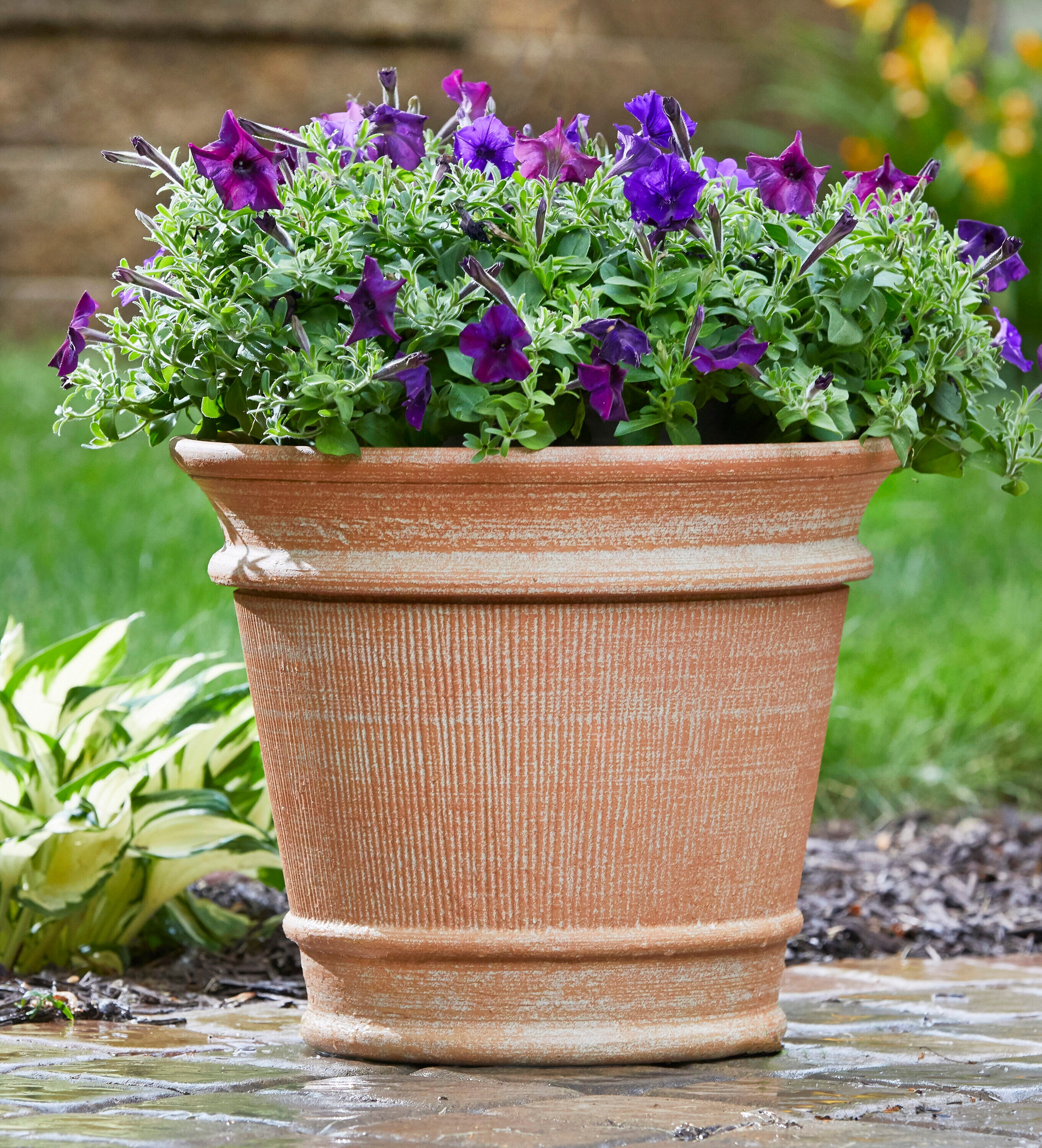 Image of a Big Pot With Design In a Lawn Of a Park-RH012108-Picxy