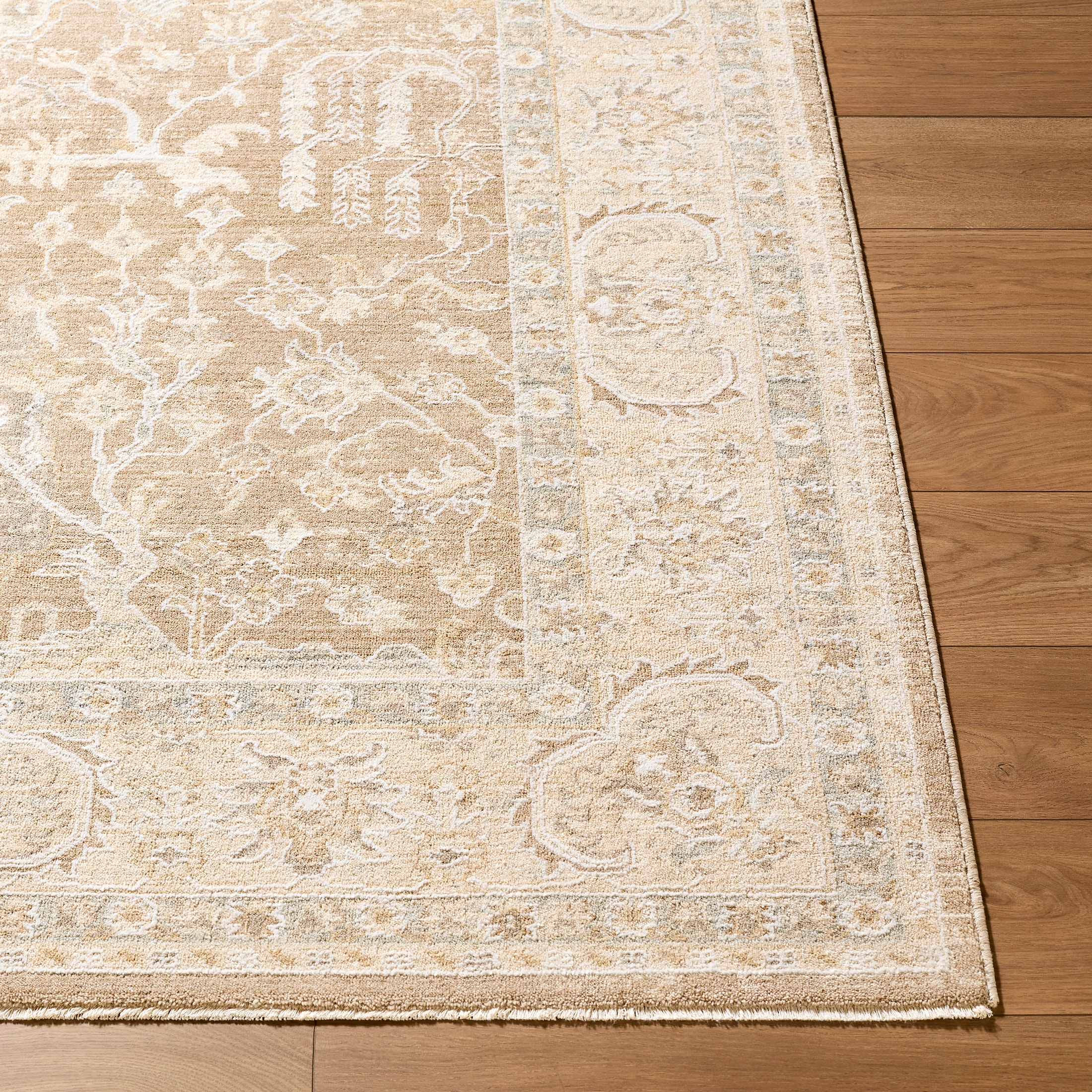 Livabliss RZVE2301-2211 rugs - View #2
