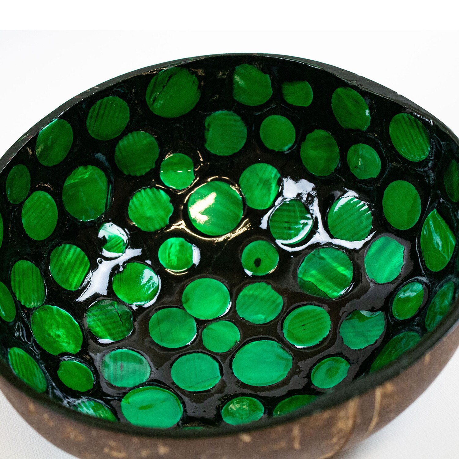 La Pastiche Green Coconut Shell Modern Decorative Bowl In The ...