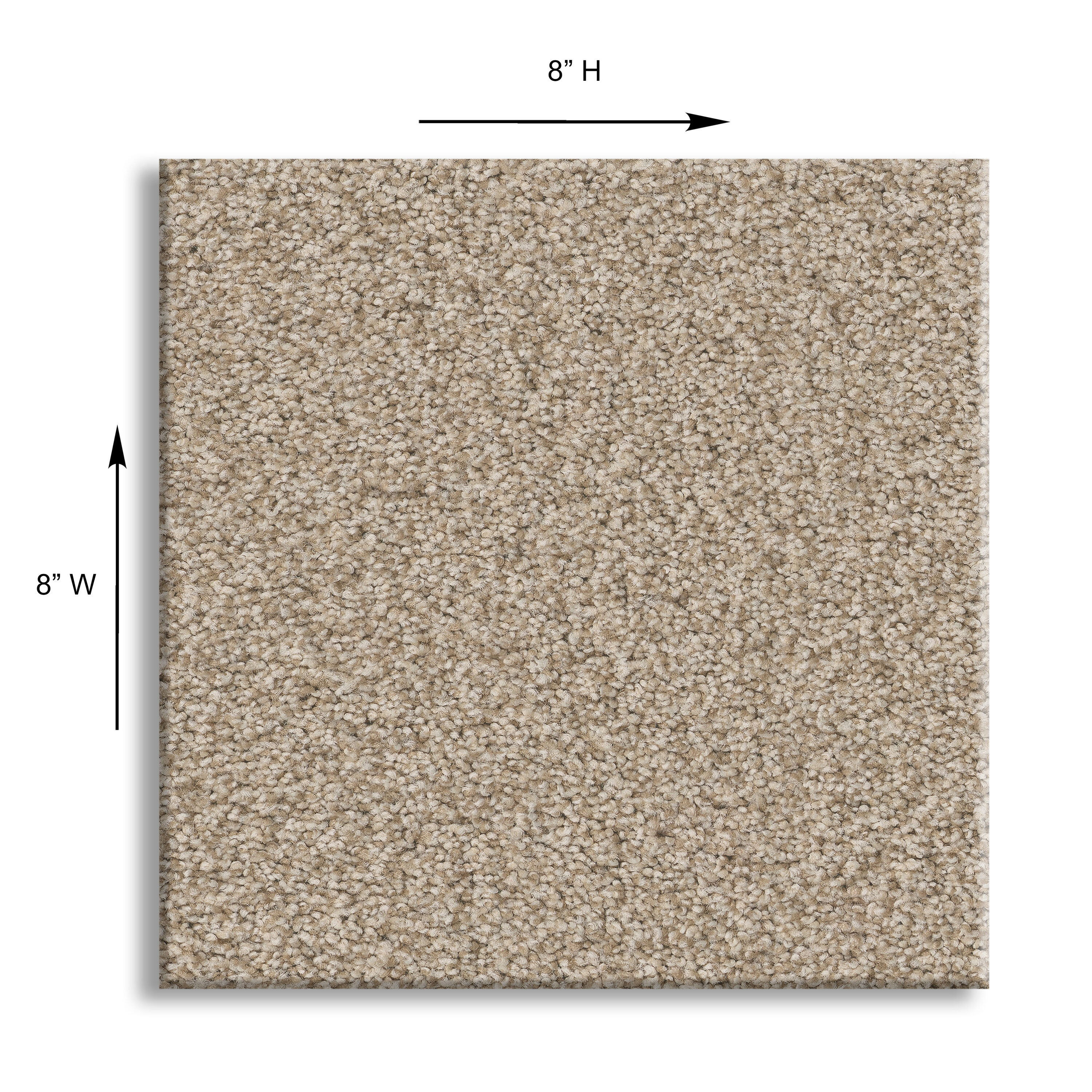 STAINMASTER 7L879 - 741 - SAMP Carpet-Samples - View #5